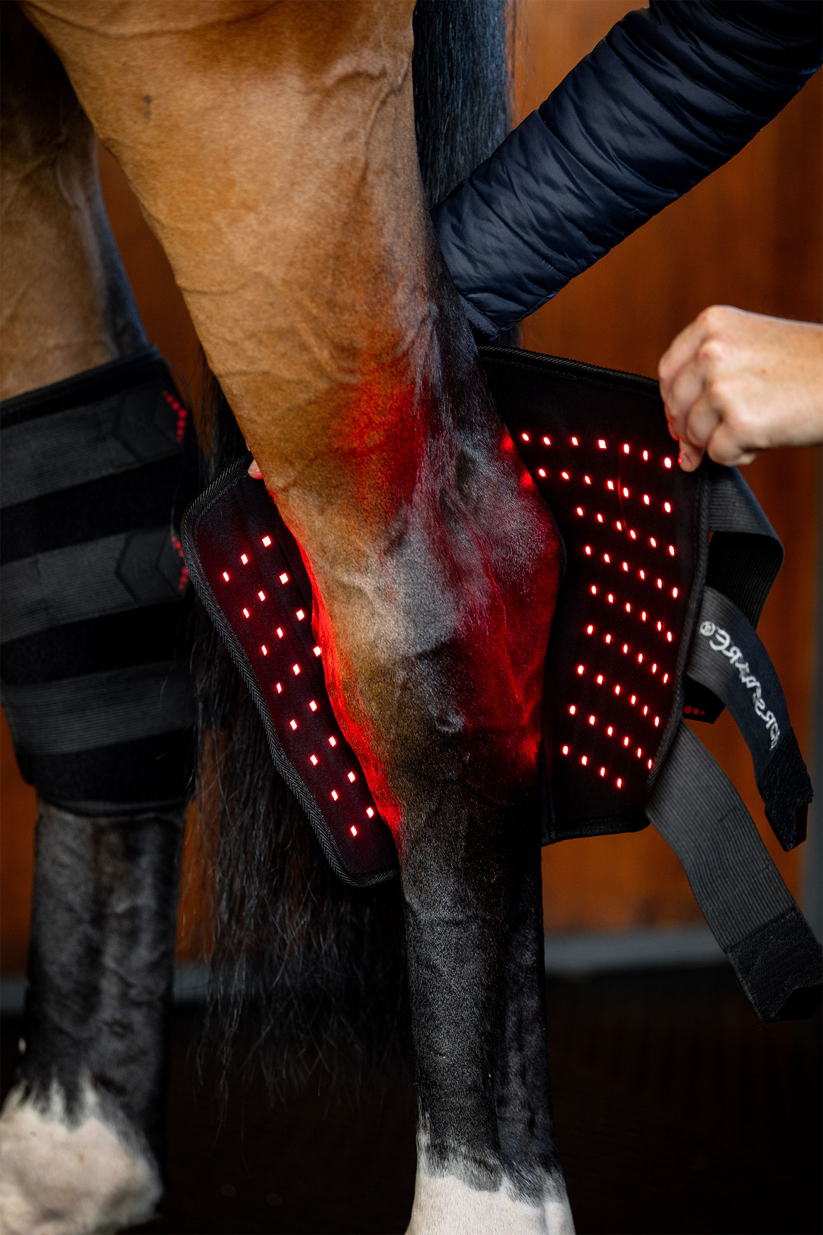 Horseware paragarretti terapeutico a LED con luce rossa (1 pz.)