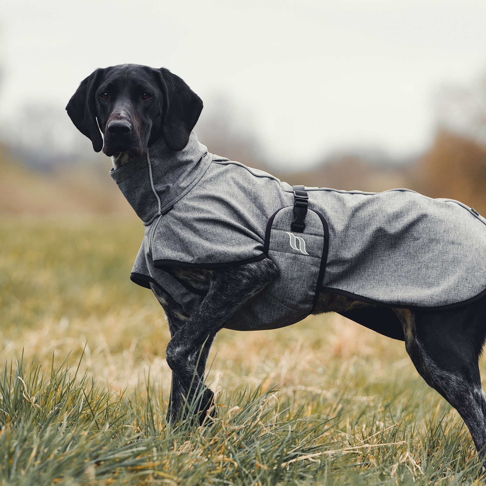 Back on Track Nella All-Round Dog Coat, 40-50cm