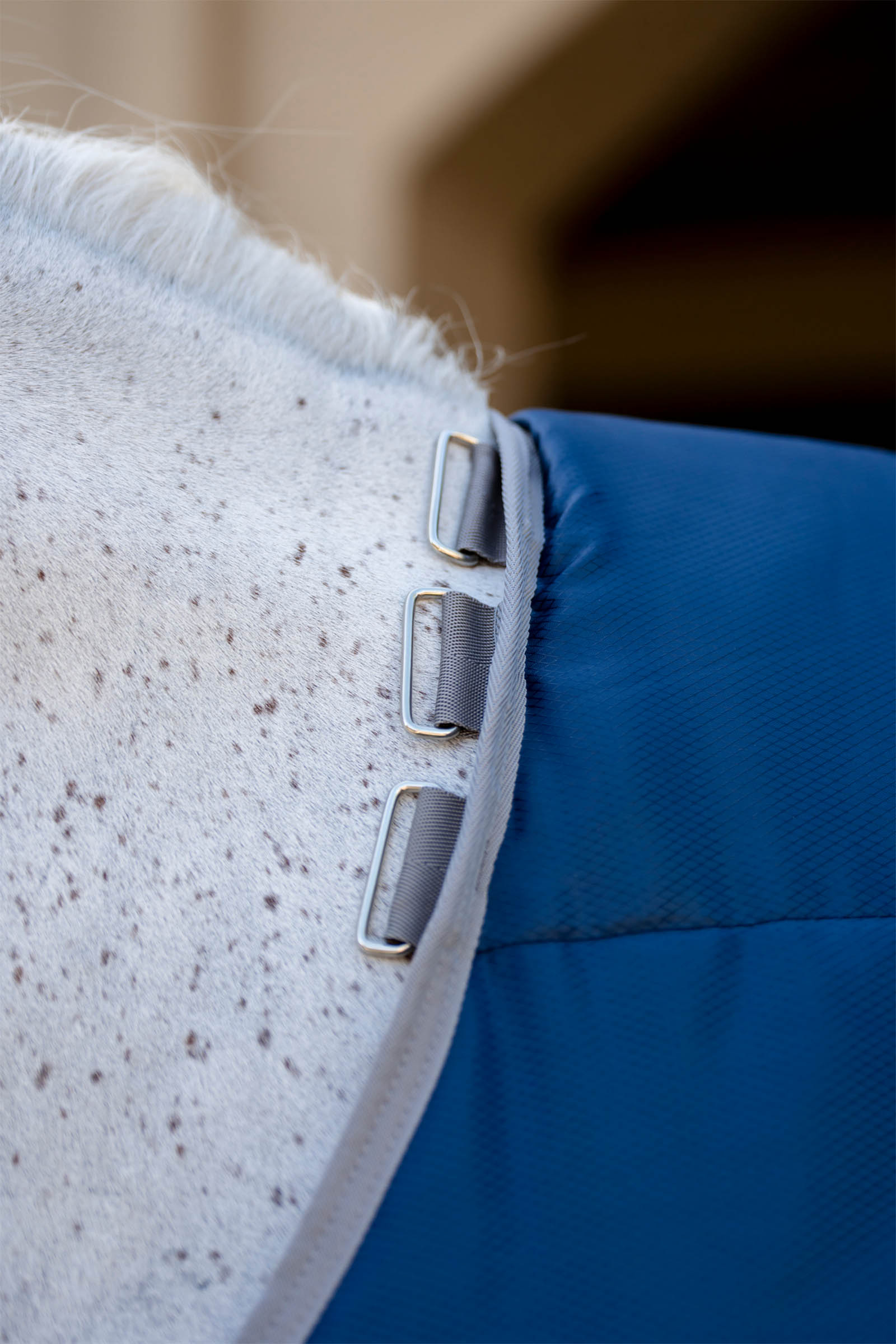 Horseware Amigo Ripstop Insulator Plus coperta da box, 350 g