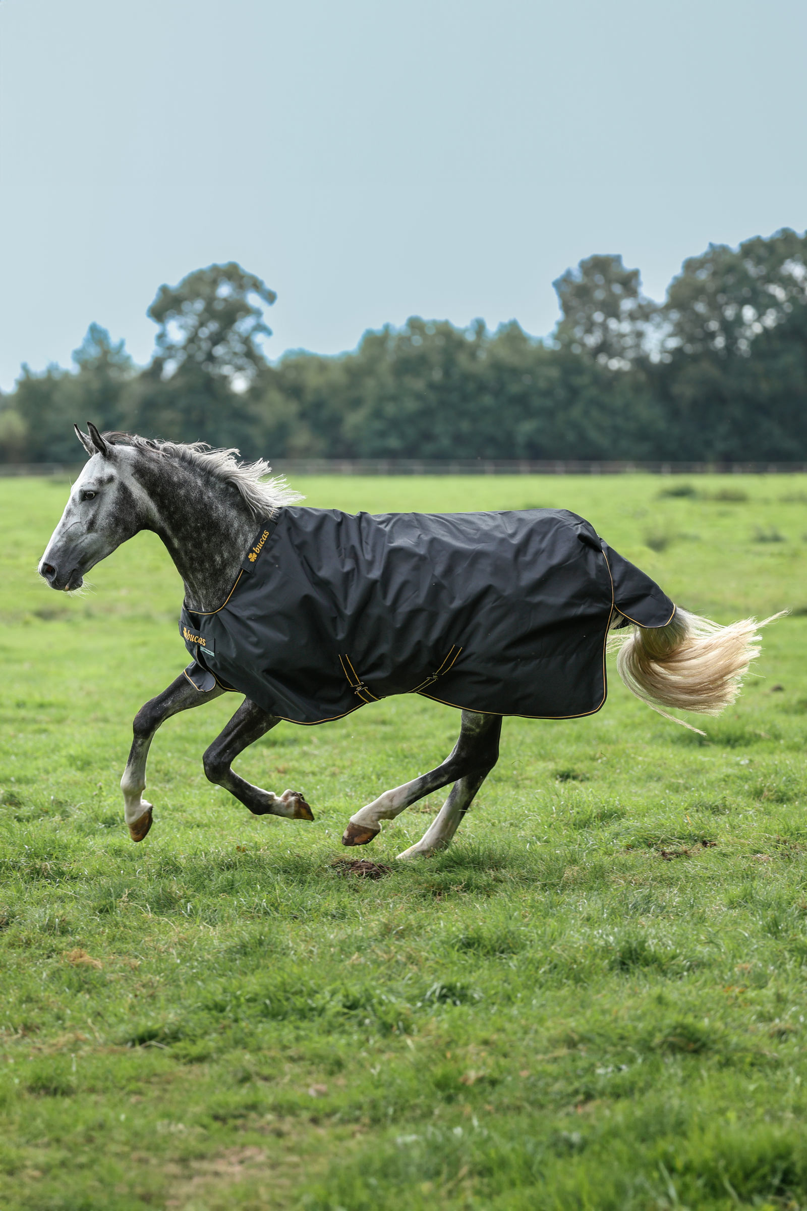 Bucas Irish Pony coperta da turnout, 50g