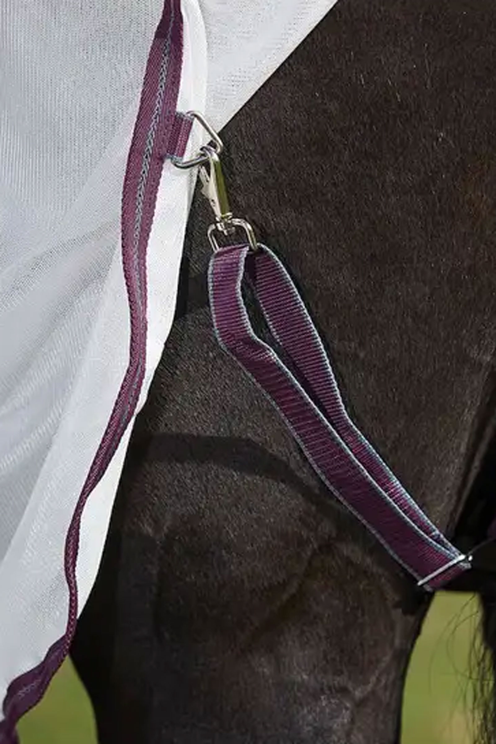 Weatherbeeta Comfitec Essential Rete II Coperta antimosche con collo inamovibile