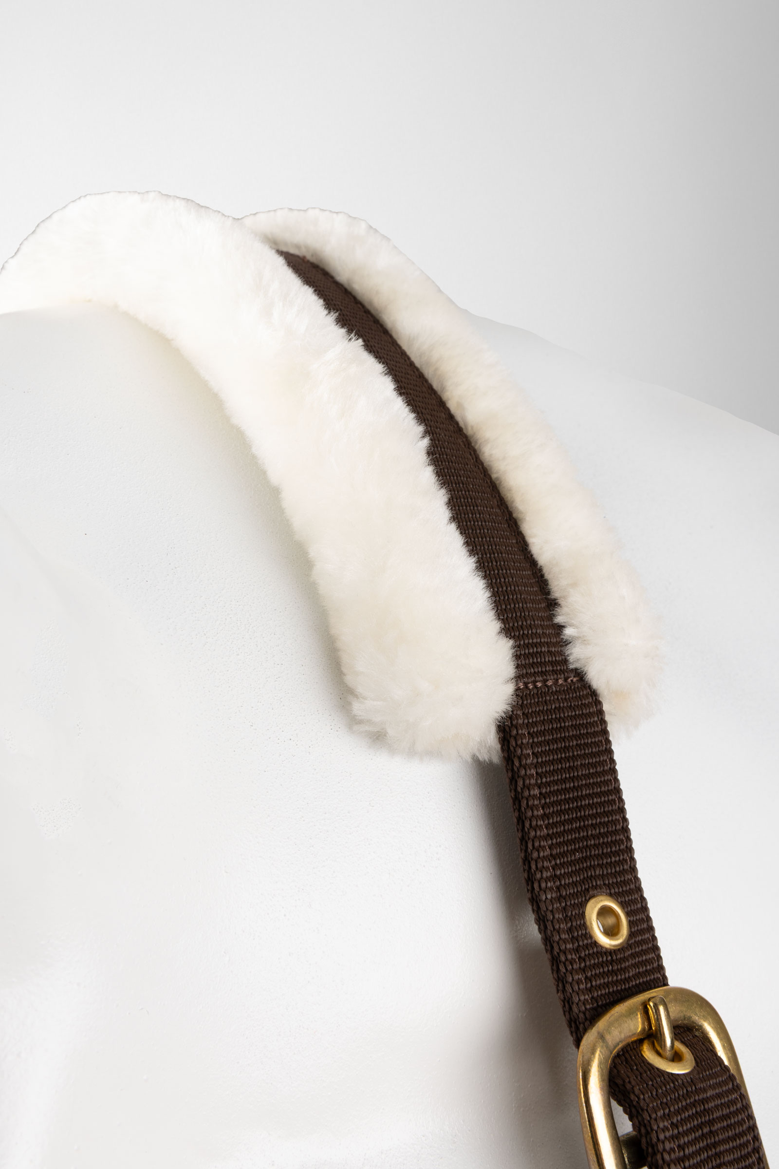 Horze cavezza e longhina set