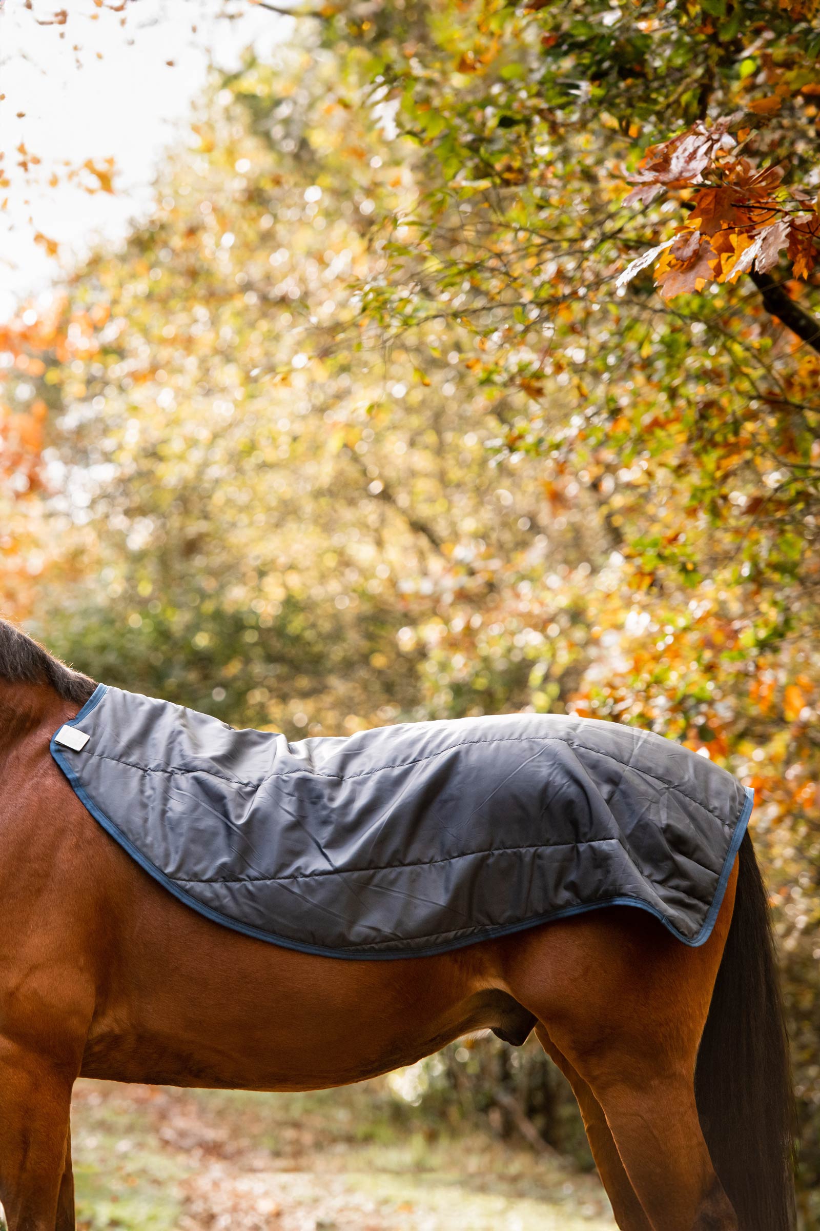 Horseware Rambo Autumn Series coperta da paddock con sottocoperta (0 g / 100 g)