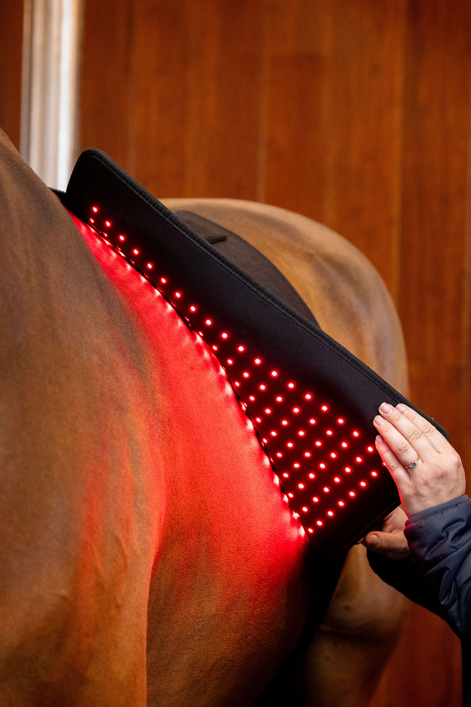 Horseware Pad terapeutico a LED con luce rossa