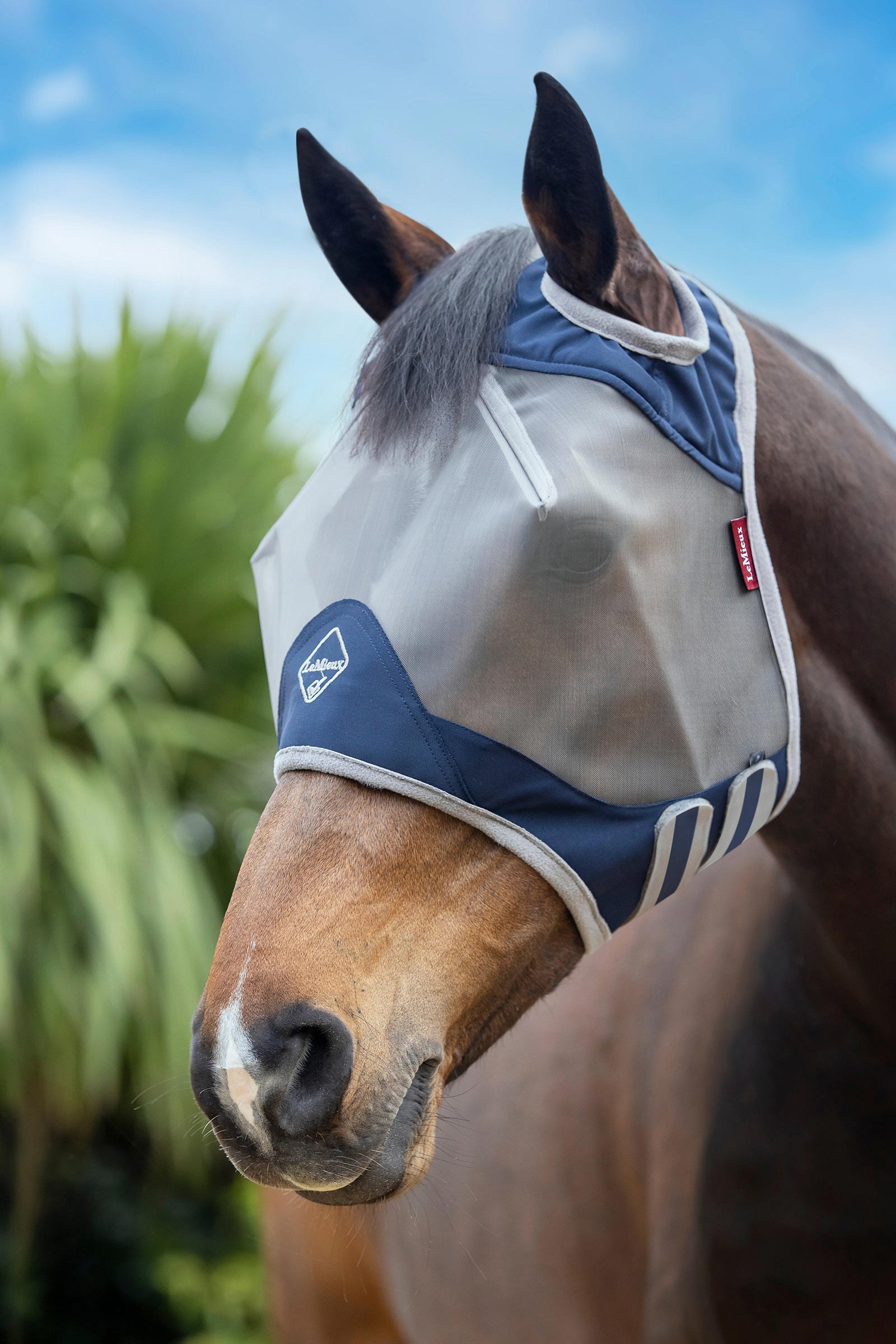 LeMieux Armor Shield Pro Protezione antimosche Maschera standard