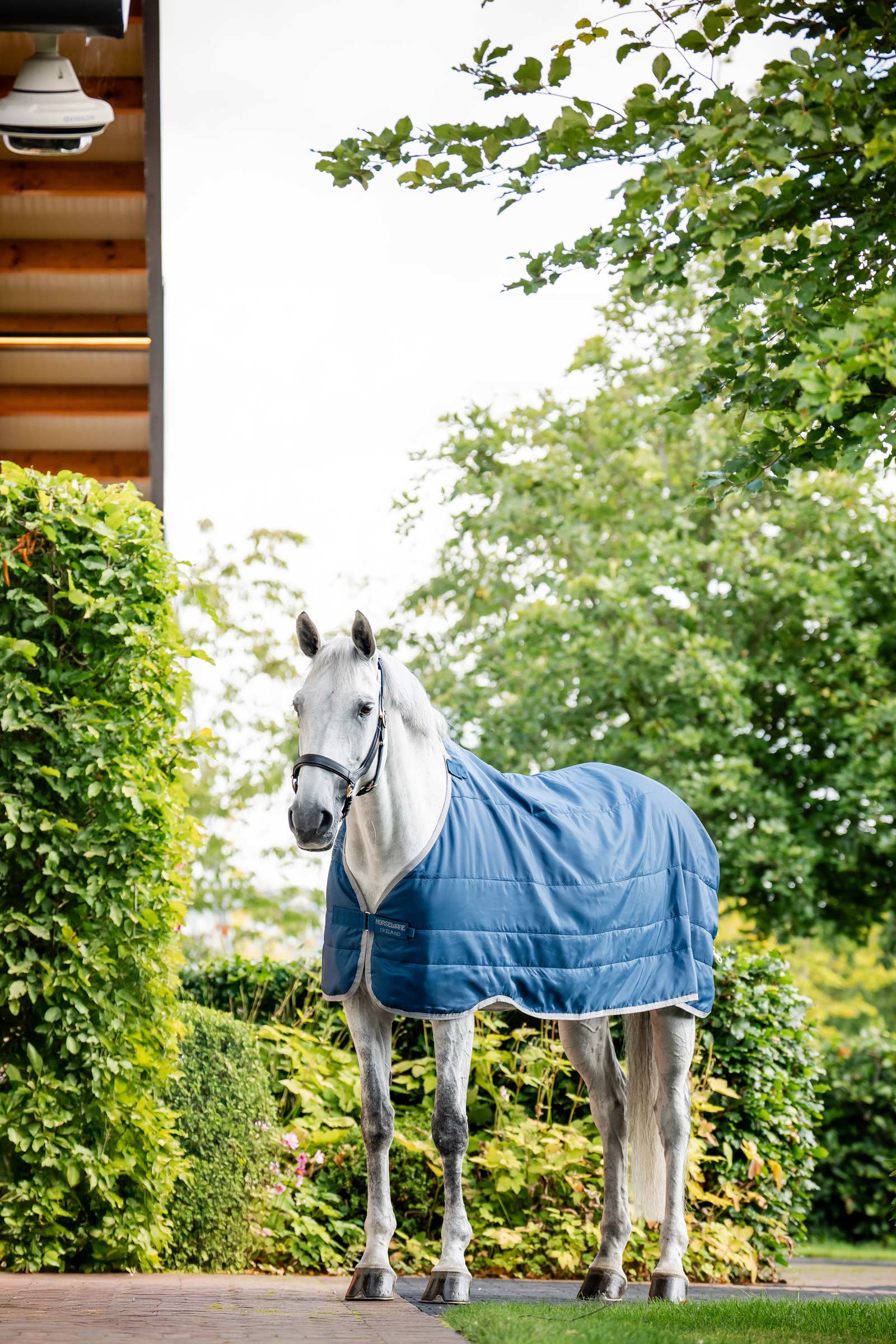 Horseware Ionic Therapy Fodera 50g