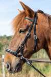 F.R.A. Freedom Riding Articles Pardoes de Luxe Sidepull con redini (Sistema 3)