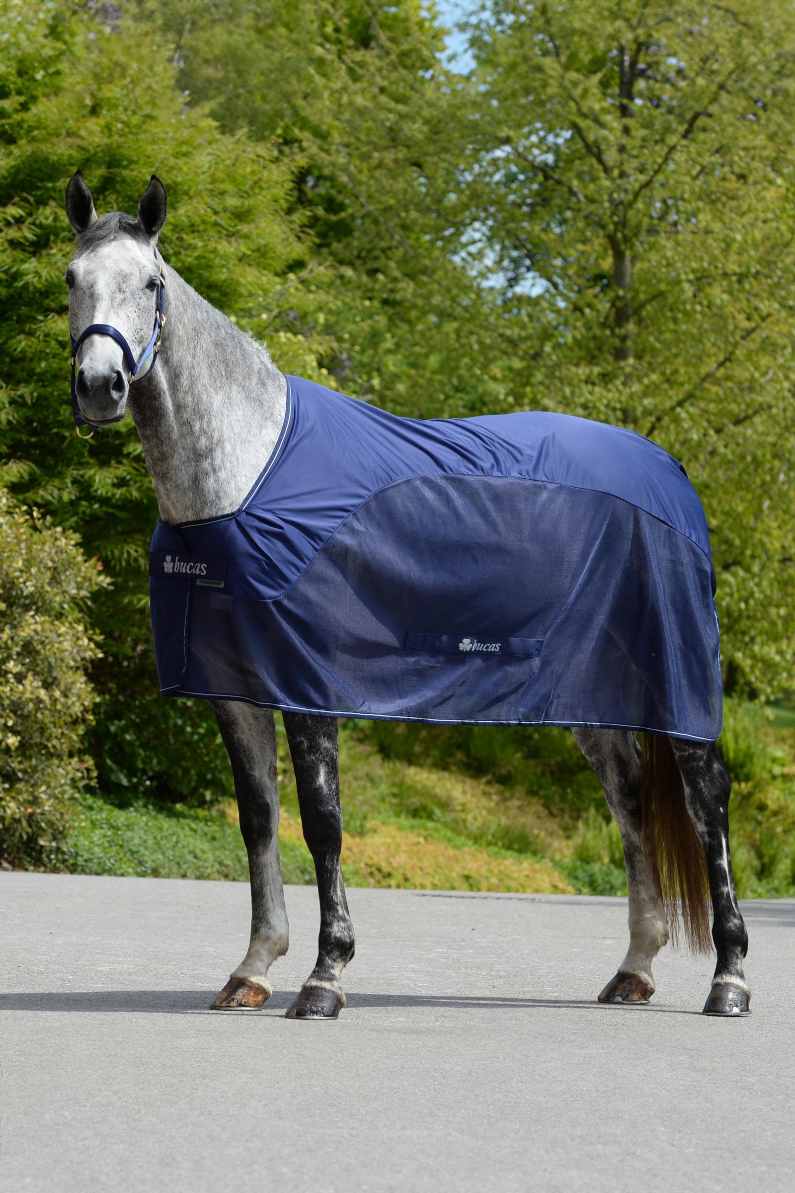 Bucas Competition Coperta raffreddante