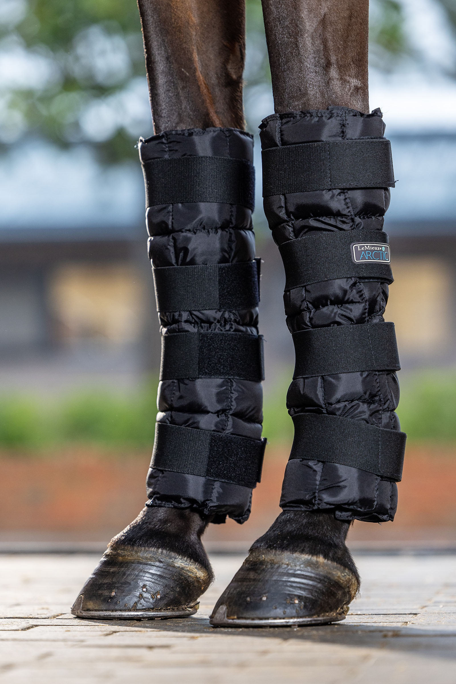 LeMieux Arctic Ice stinchiere rinfrescanti (paio)