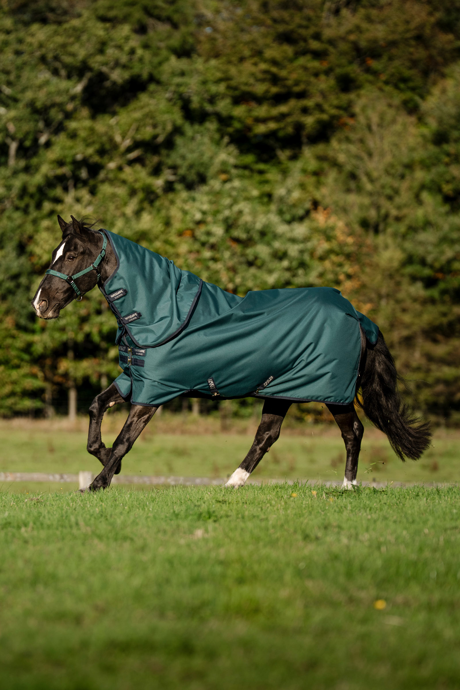 Horseware Amigo Ripstop 900D Plus coperta da esterno per pony, 200 g