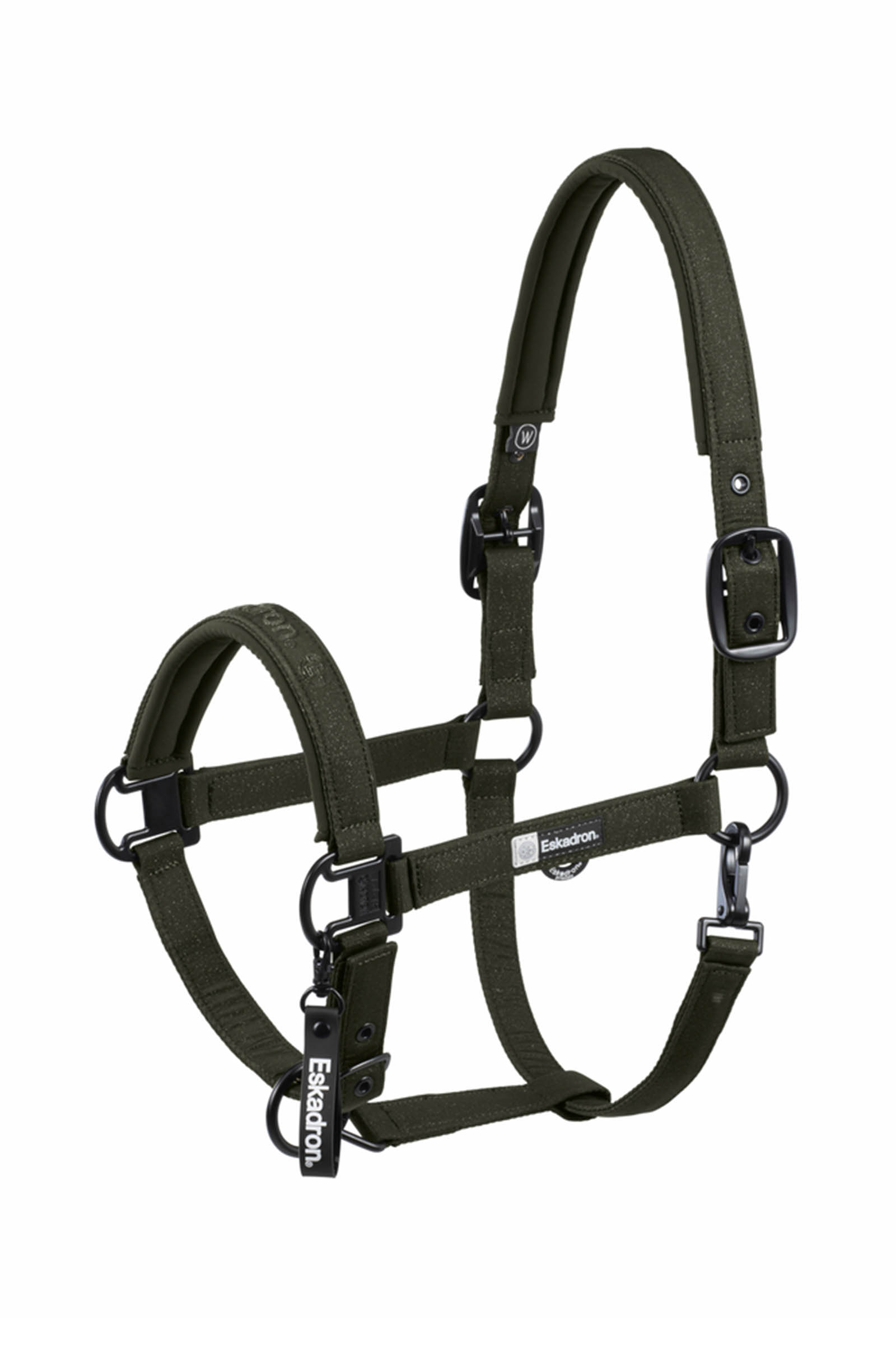Olive Eskadron Dynamics AW25 cavezza scintillante con fibbia doppia