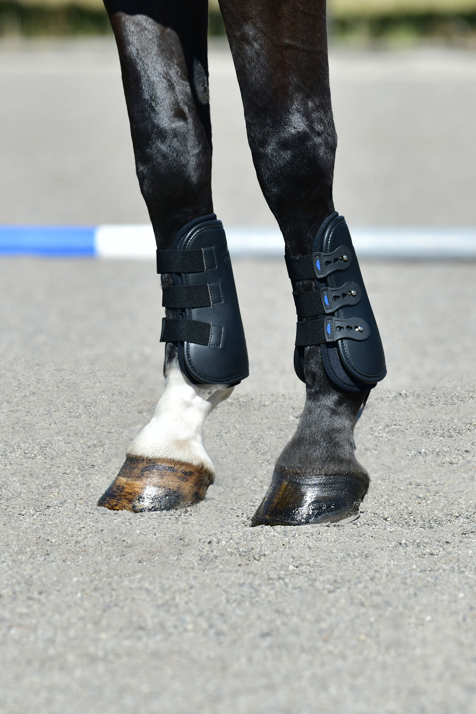 Weatherbeeta Tough-Tec Pro Gamasce frontali aperte