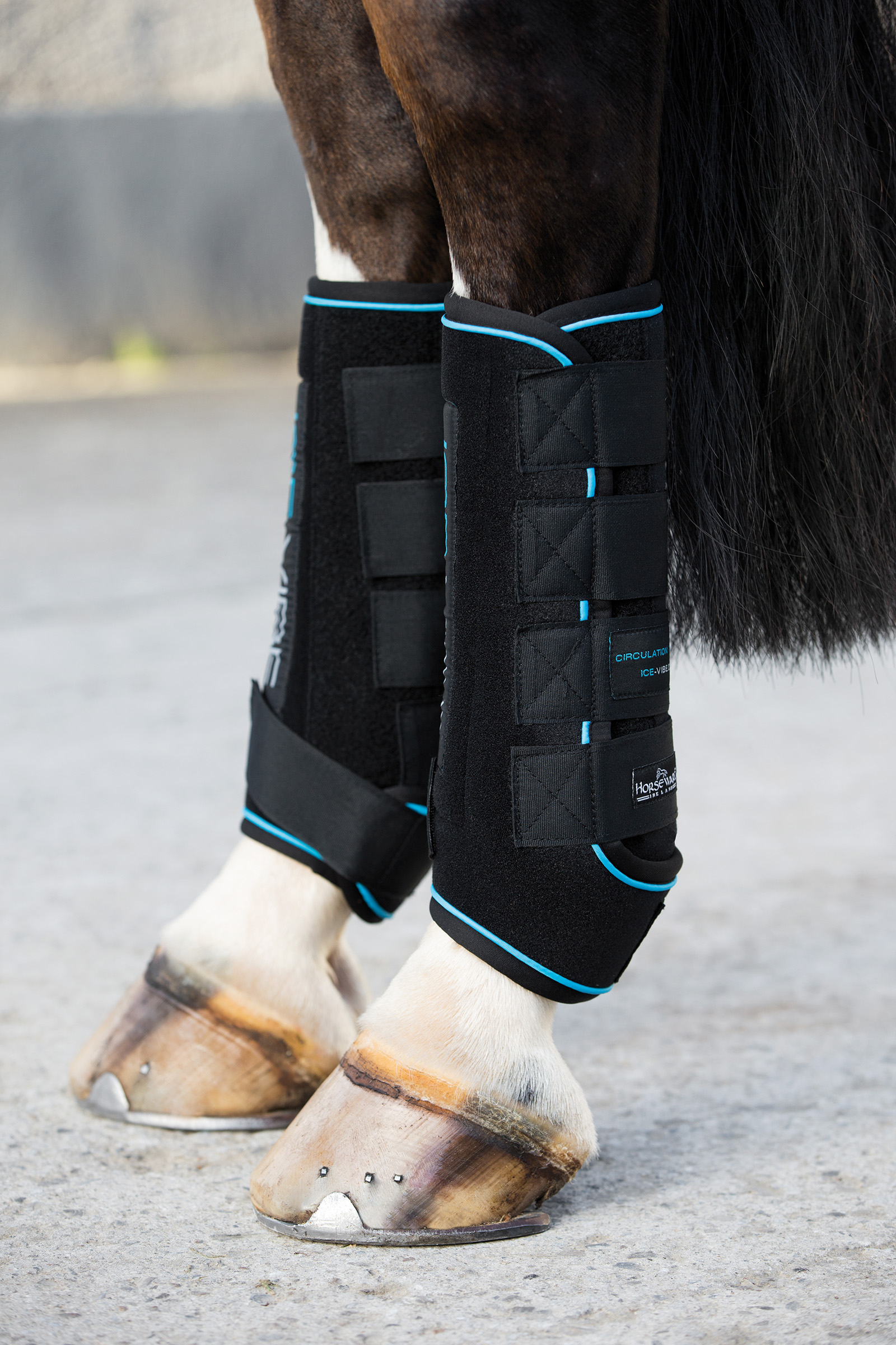 Stivali Ice Vibe Horseware