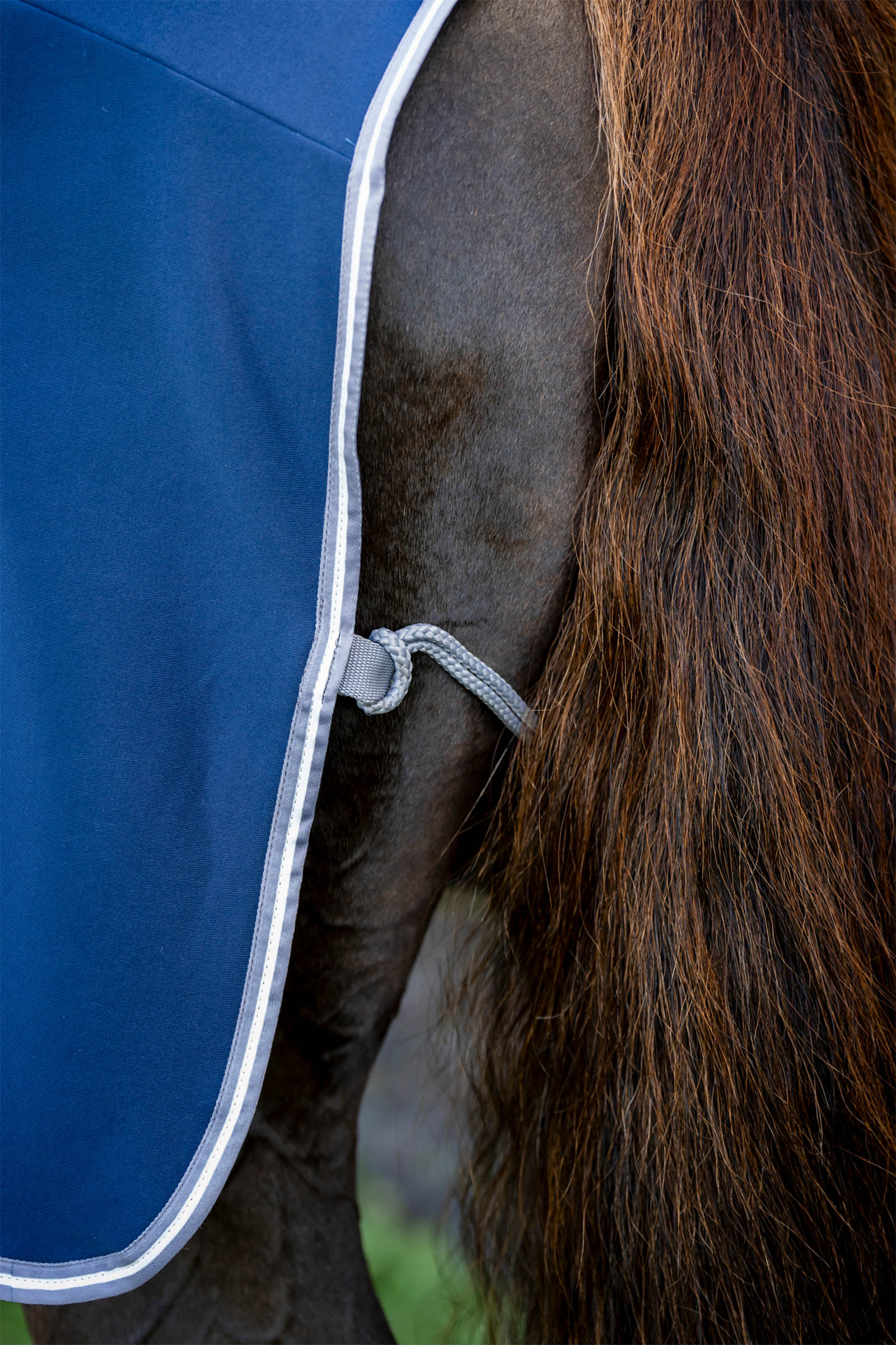 Horseware Coperta raffreddante Amigo in jersey