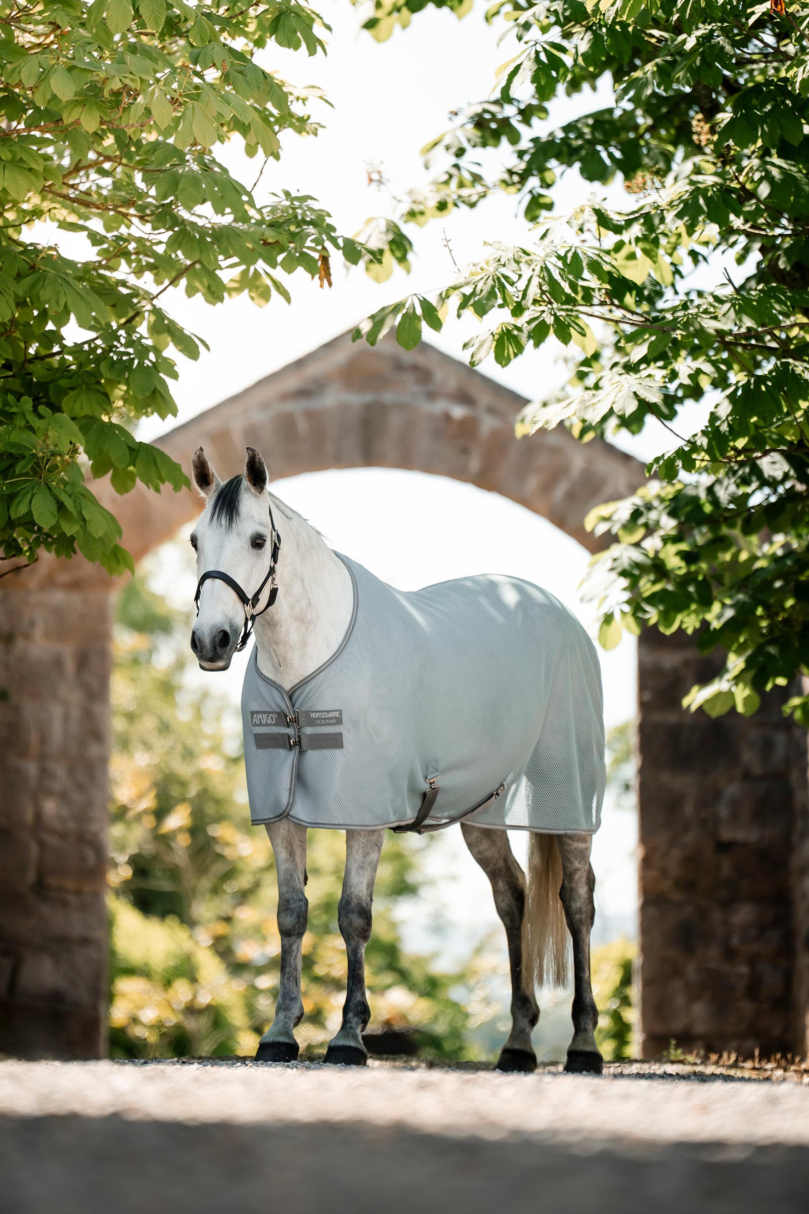 Horseware Amigo AirNet coperta asciugante