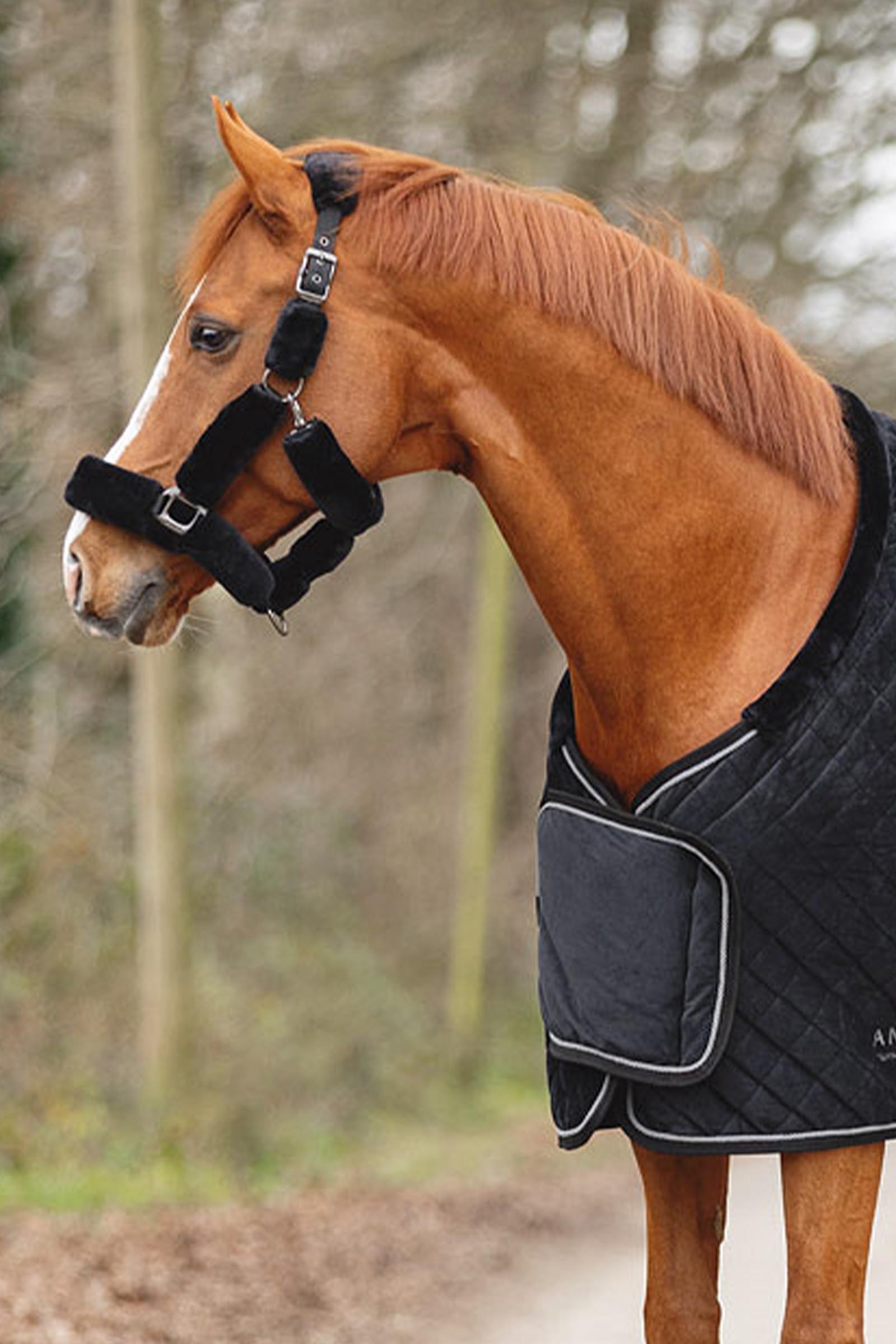 ANKY Victory Coperta da show, 200 g