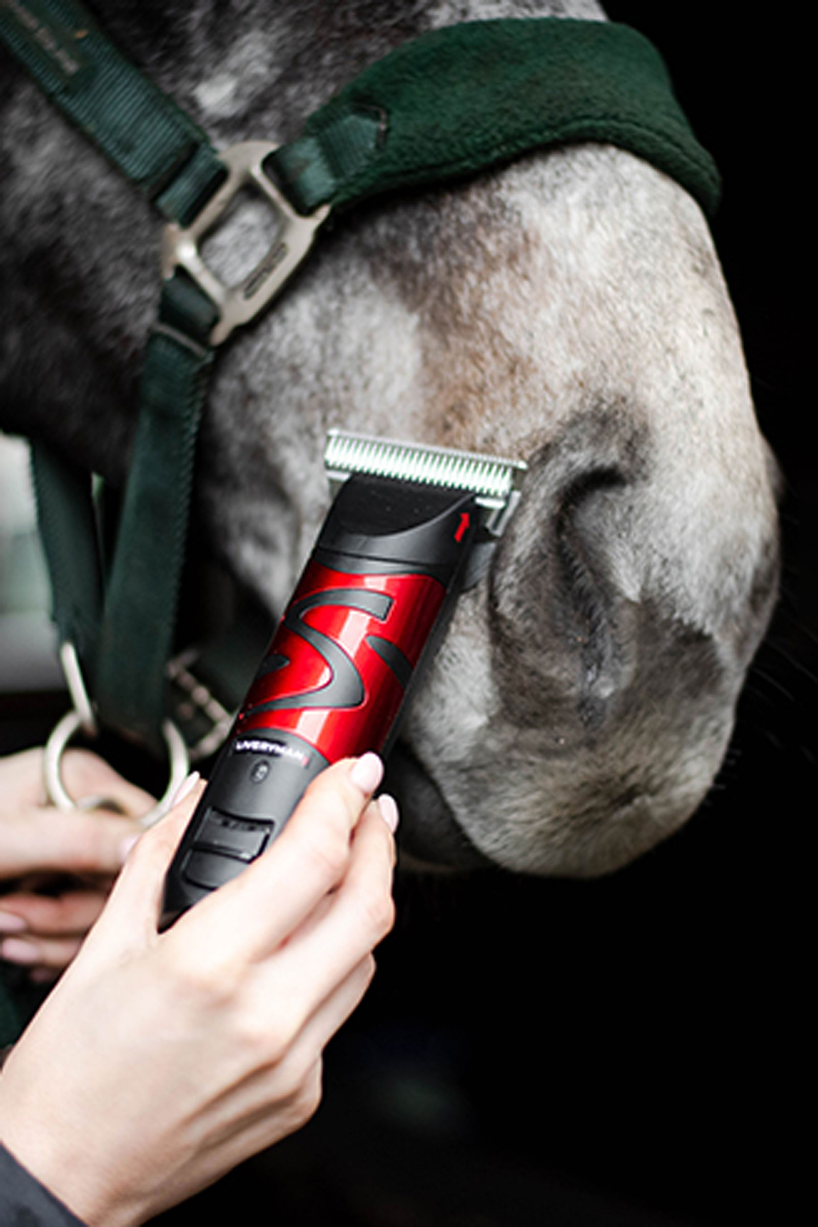 Liveryman Harmony Plus With Wide Fine Blade, 1.5 mm