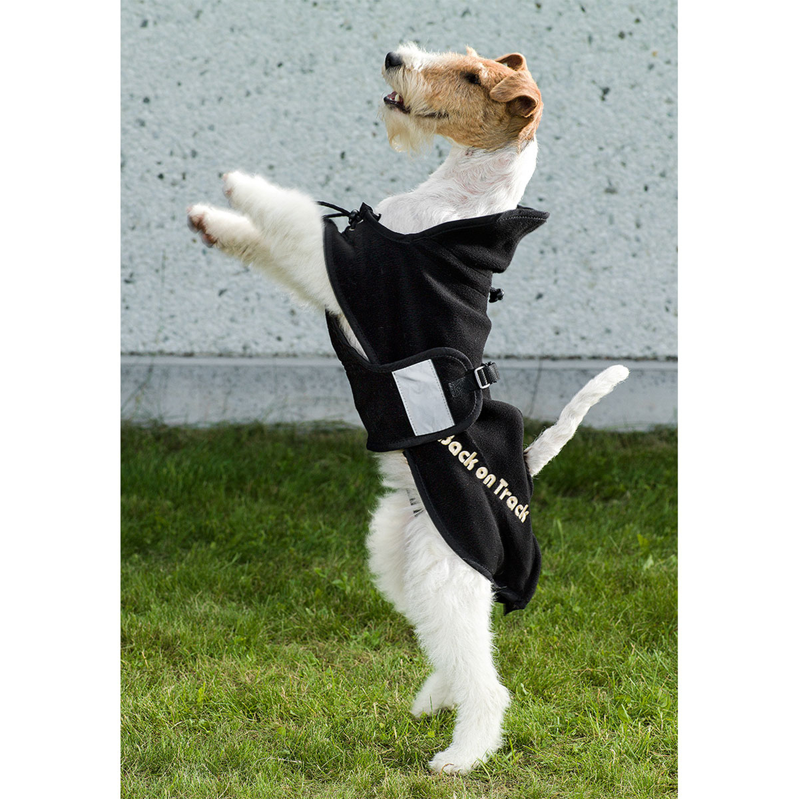 Back on Track Coperta per cani in pile, 21-34