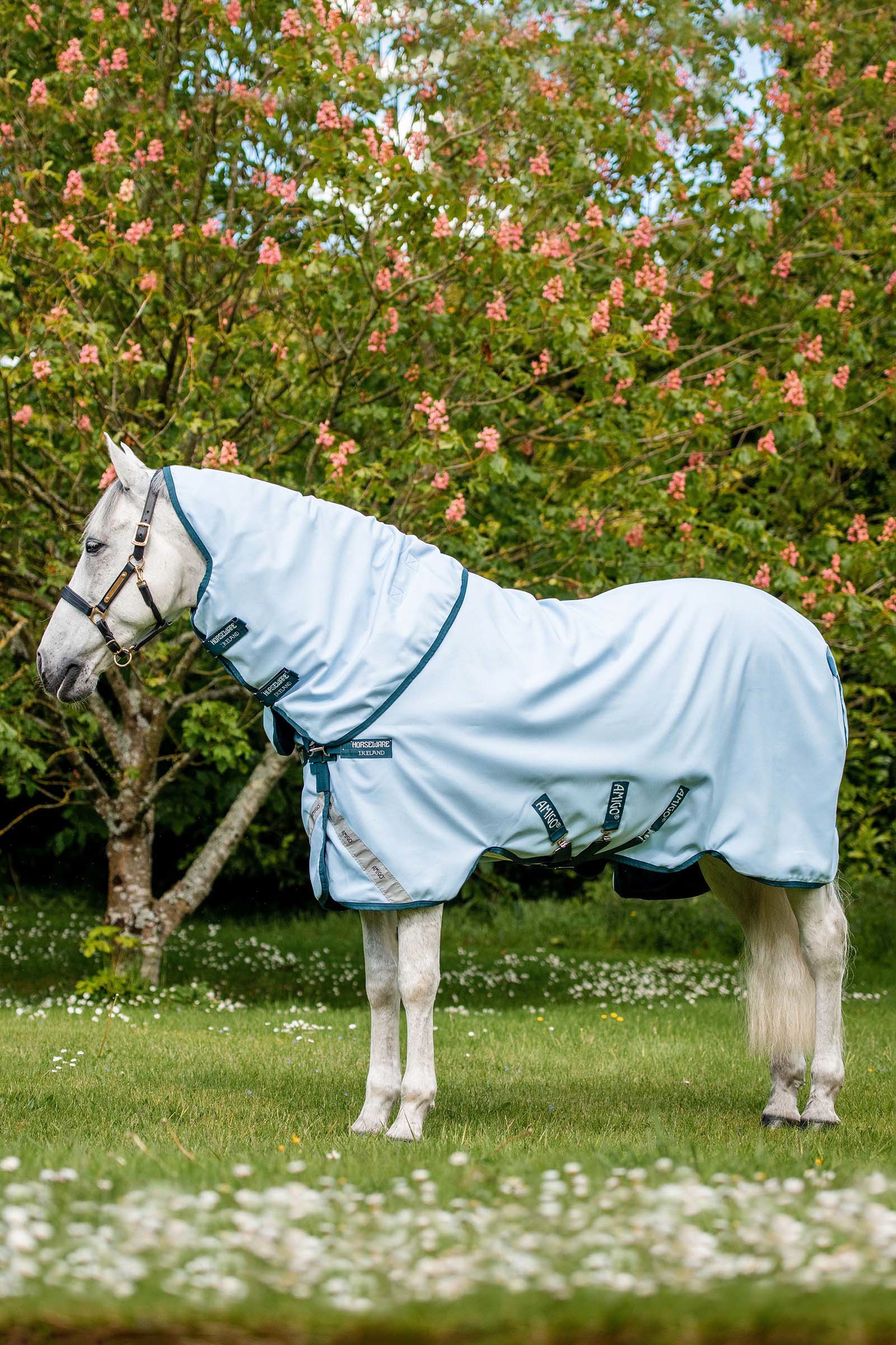 Horseware Amigo Plant Dye Coperta da turnout, 50 gr