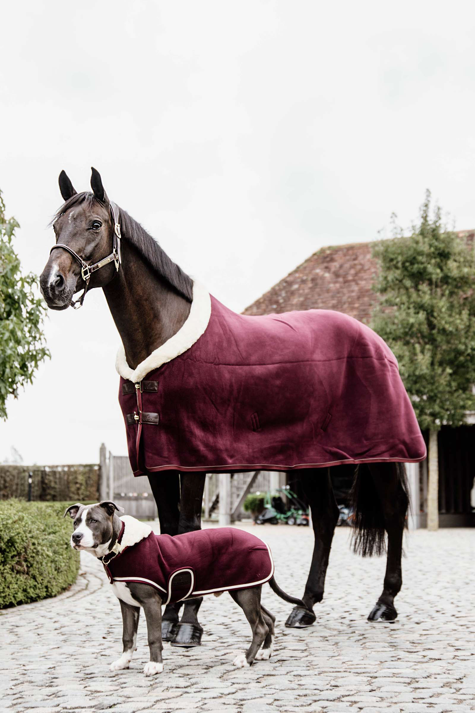 Tappeto da esposizione in pile Kentucky Horsewear