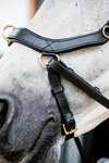 Horseware Micklem 2 Multi Briglia