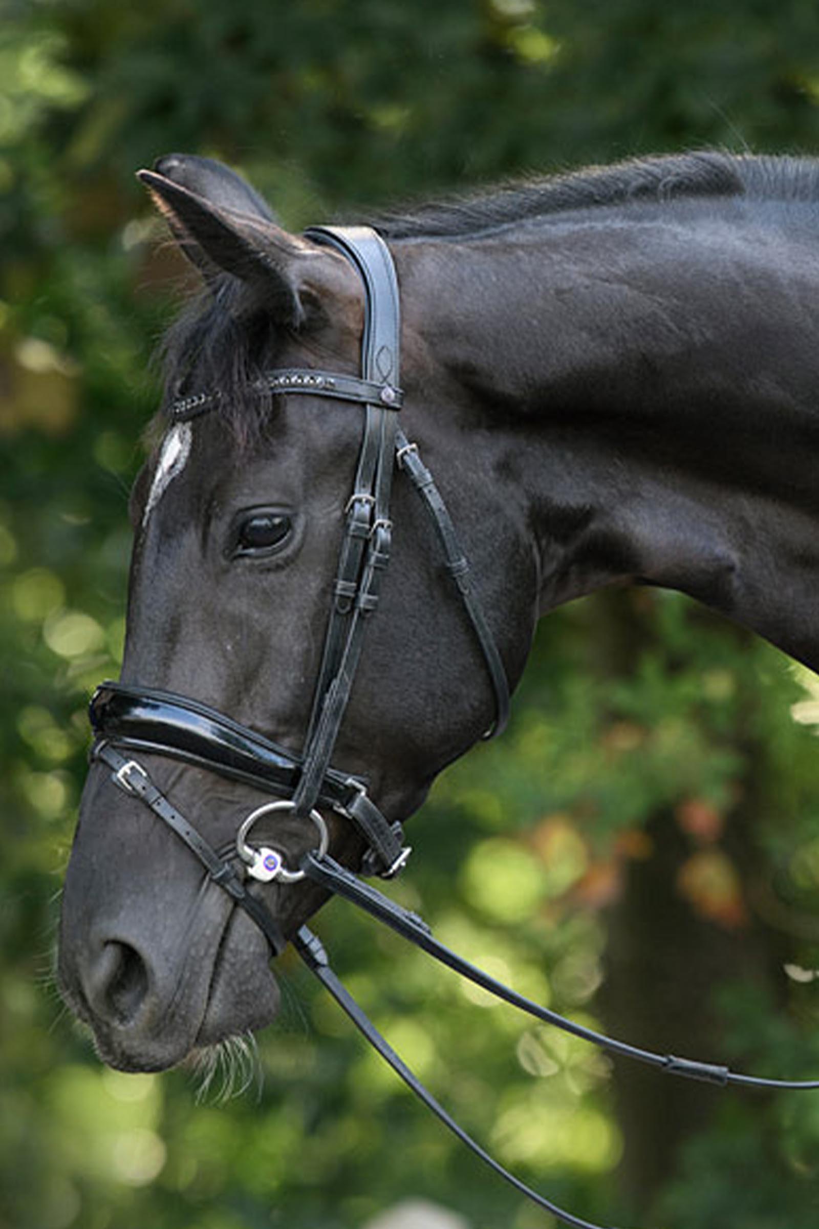 Trust Equestrian Rotterdam Large Patent Crank Bridle