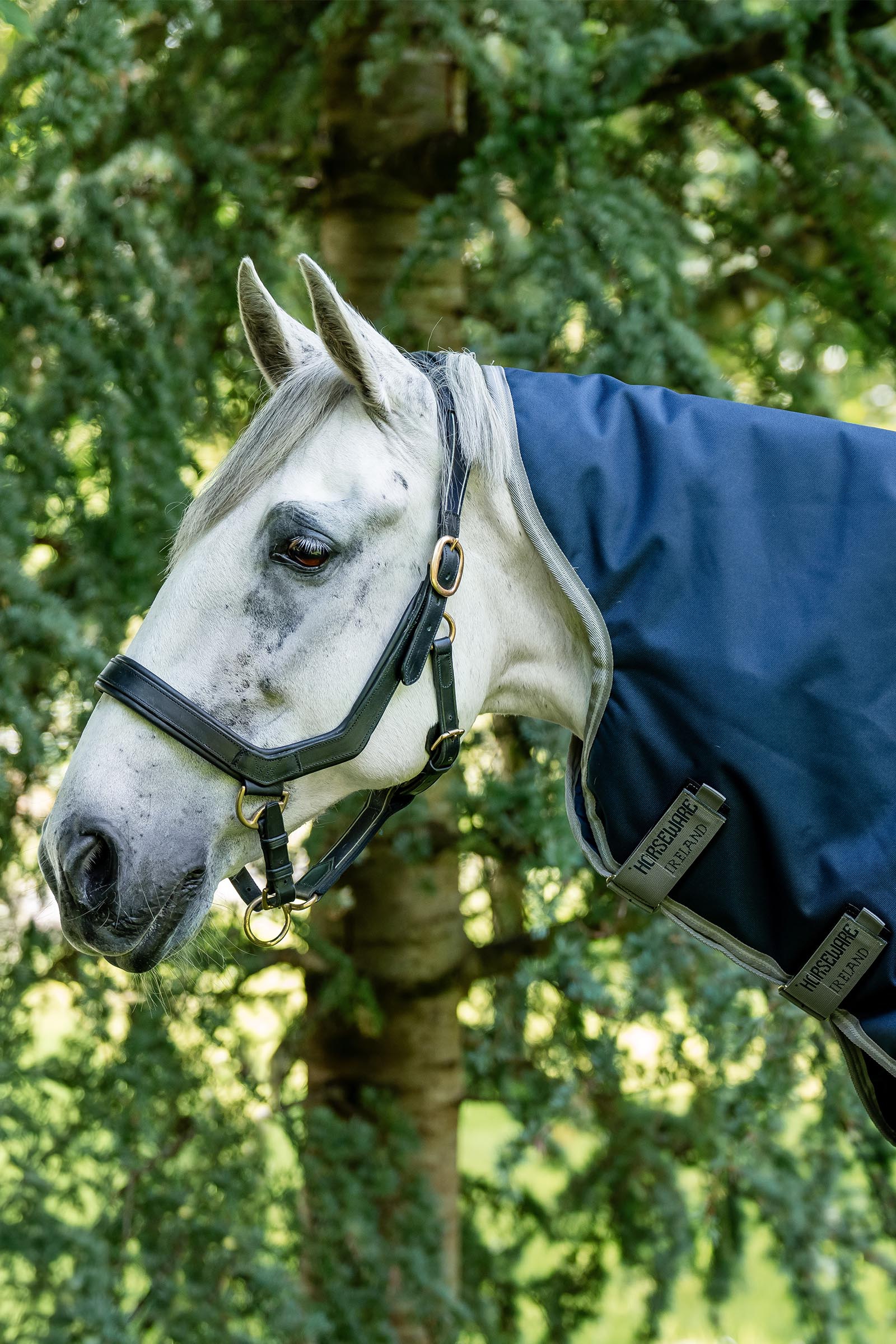 Horseware Amigo Bravo 12 Hood 150g