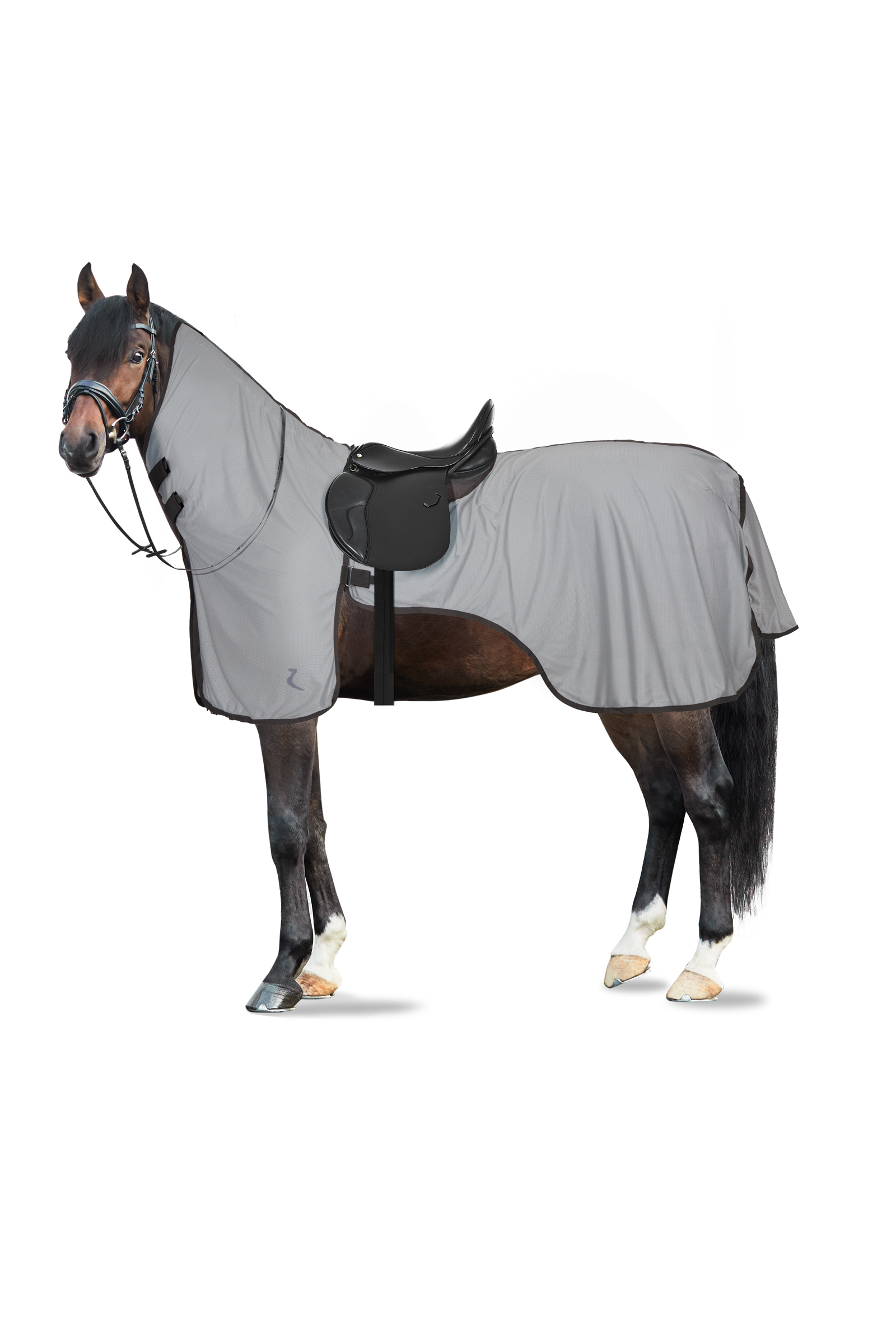 Horze Eira coperta da equitazione UV antimosche con collo staccabile