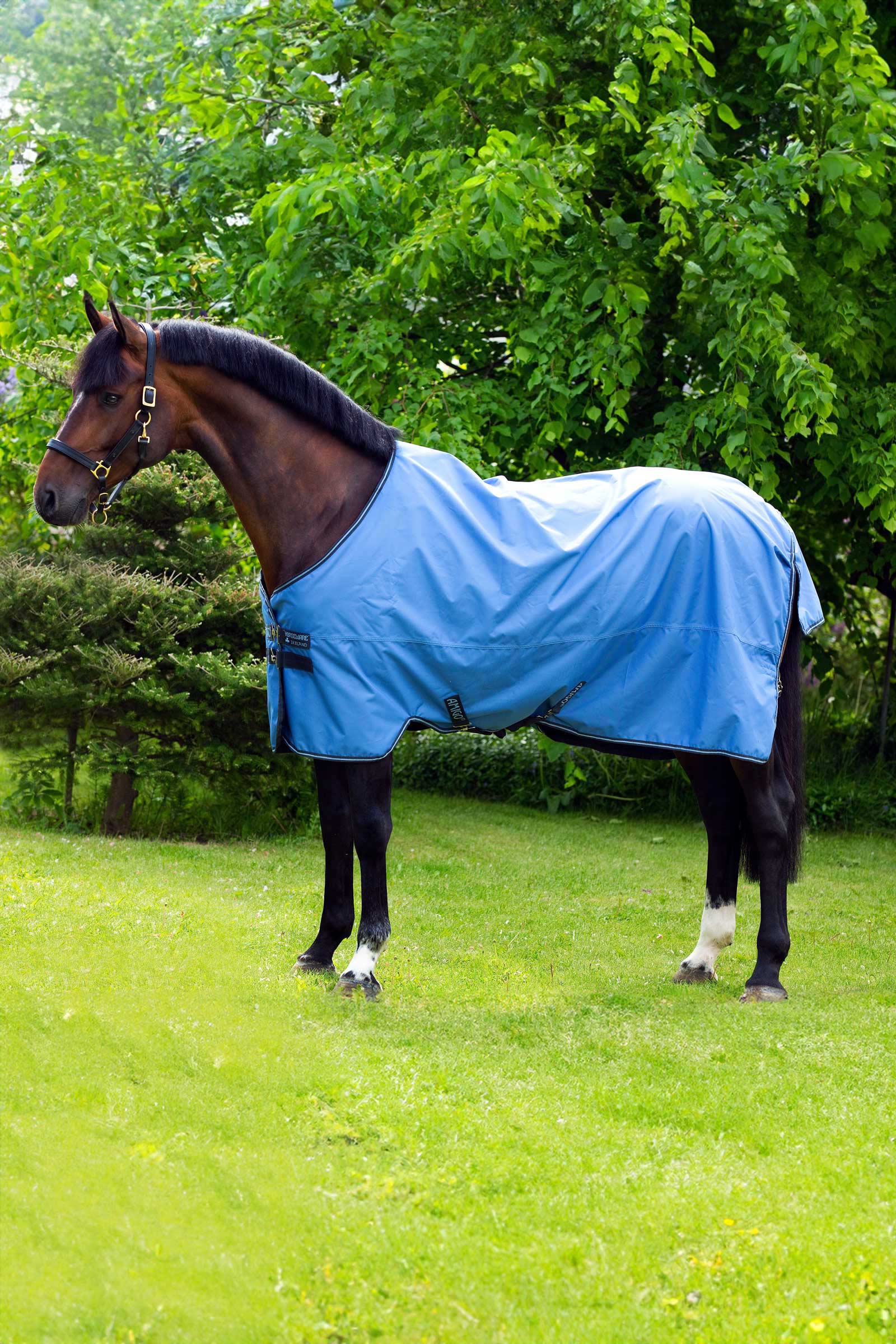 Horseware Amigo Hero 900 coperta da turnout leggera, 50 g