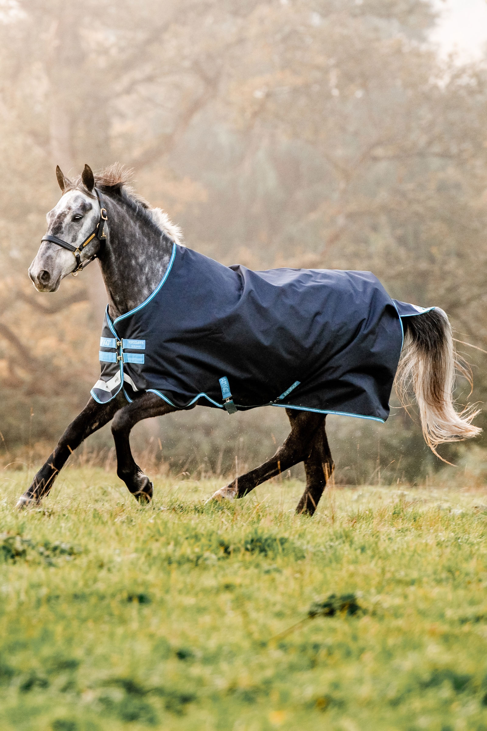 Horseware Amigo Bravo 12 coperta da turnout, 100g