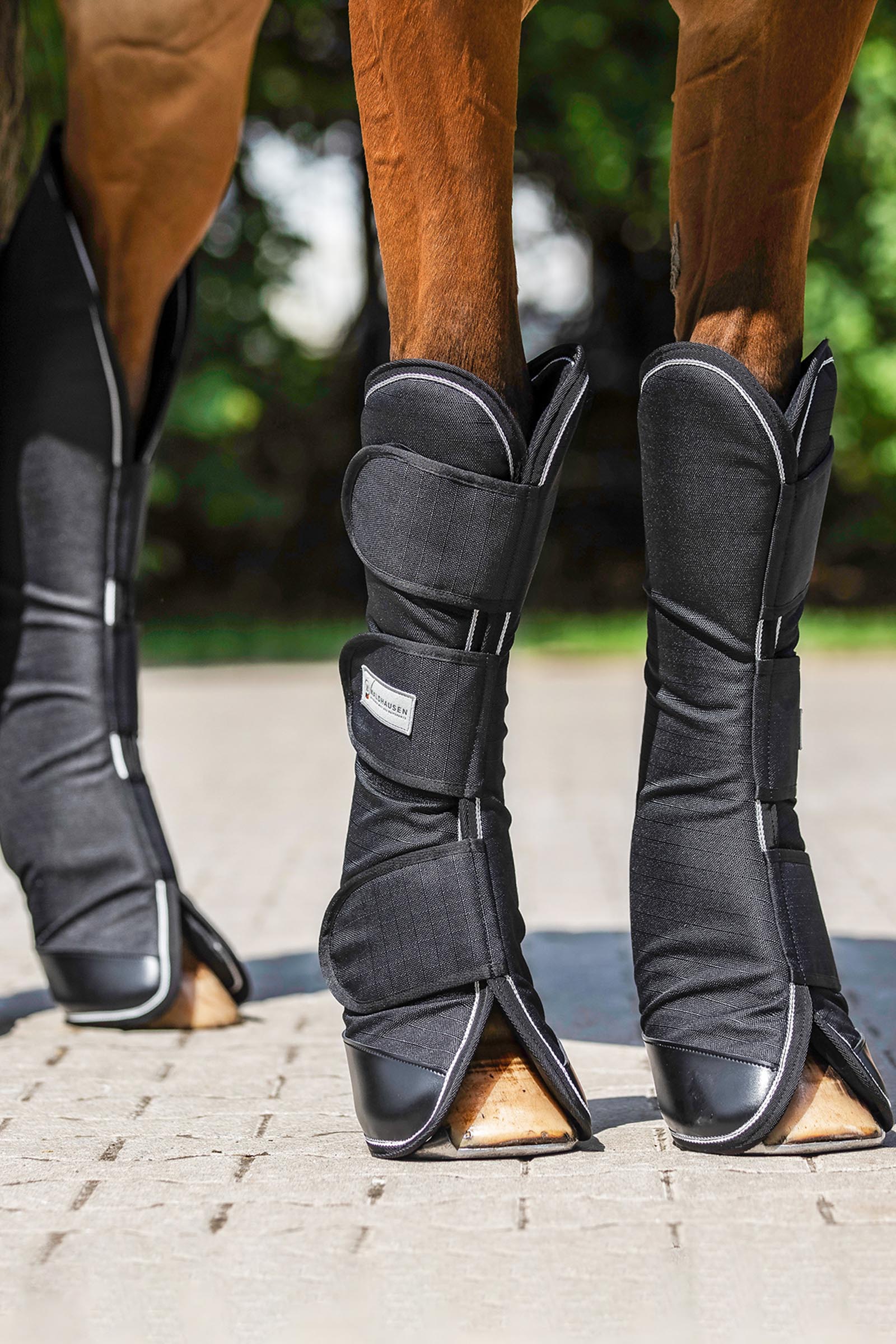 Waldhausen Comfort Line paracolpi da trasporto (set da 4)