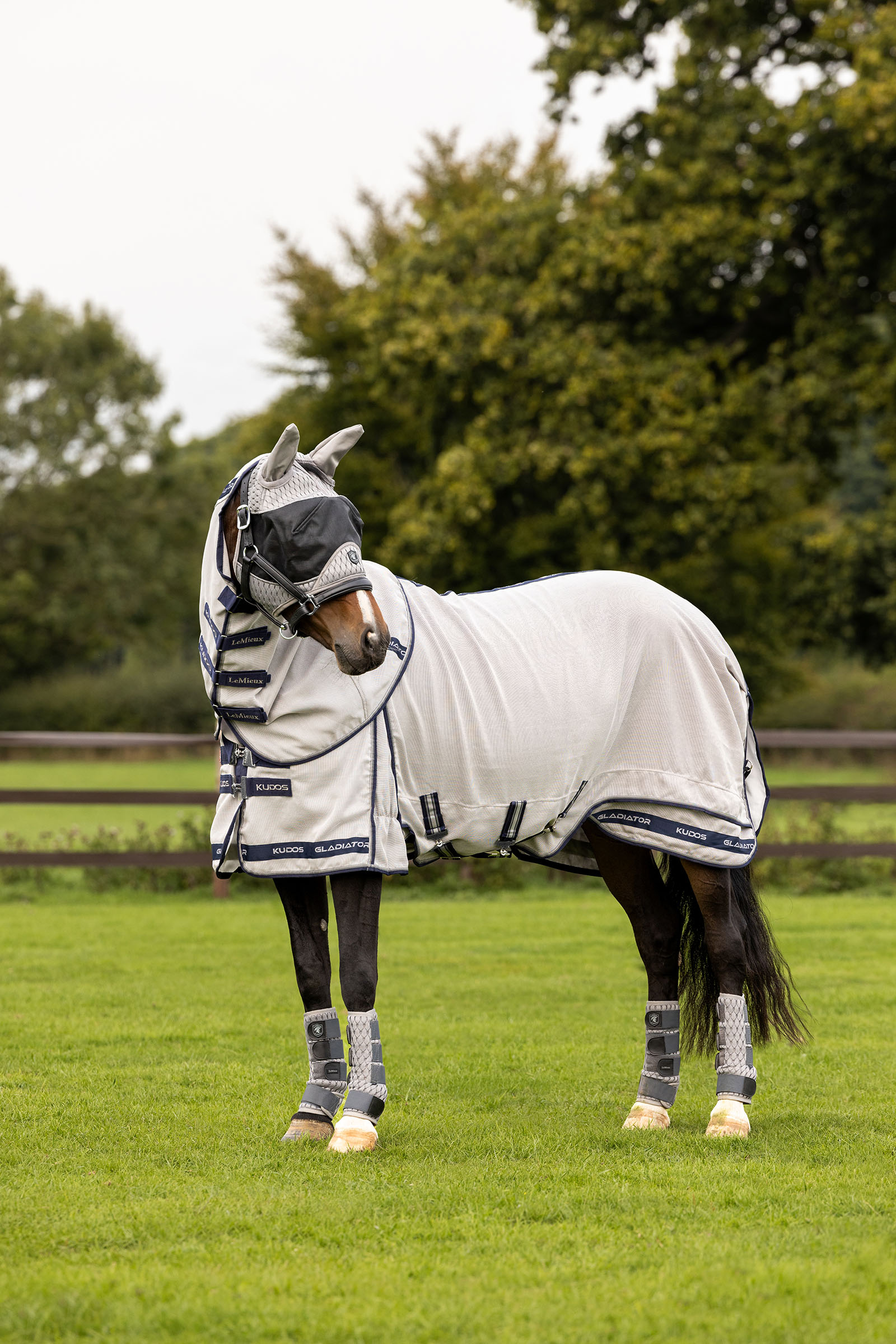 LeMieux Kudos Gladiator coperta antimosche