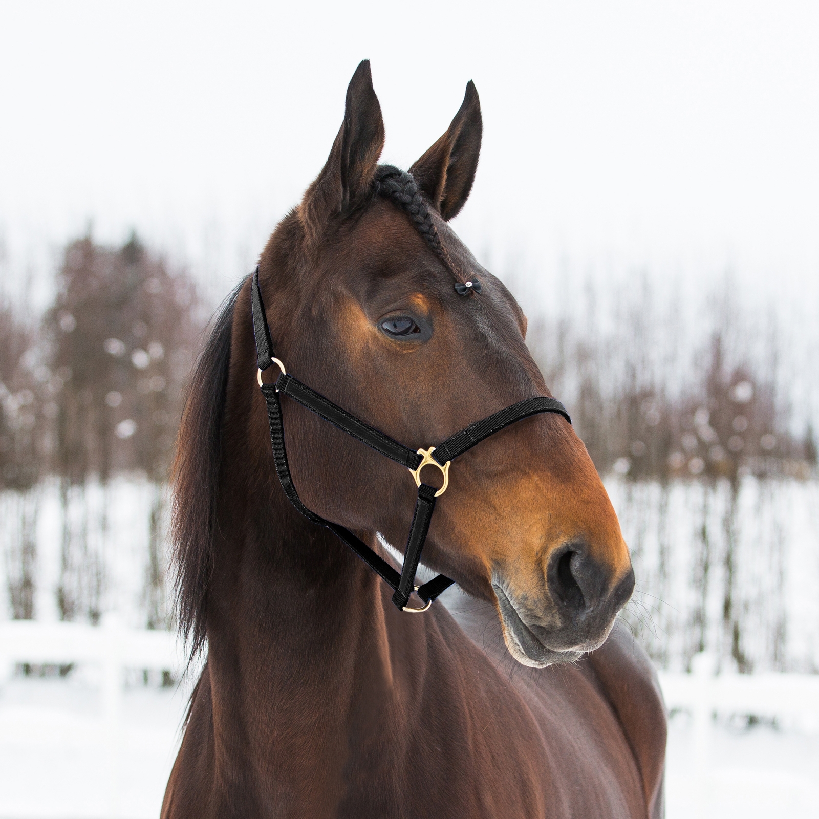 Black Cavezza Finntack Pro in nylon Yankee sintetico