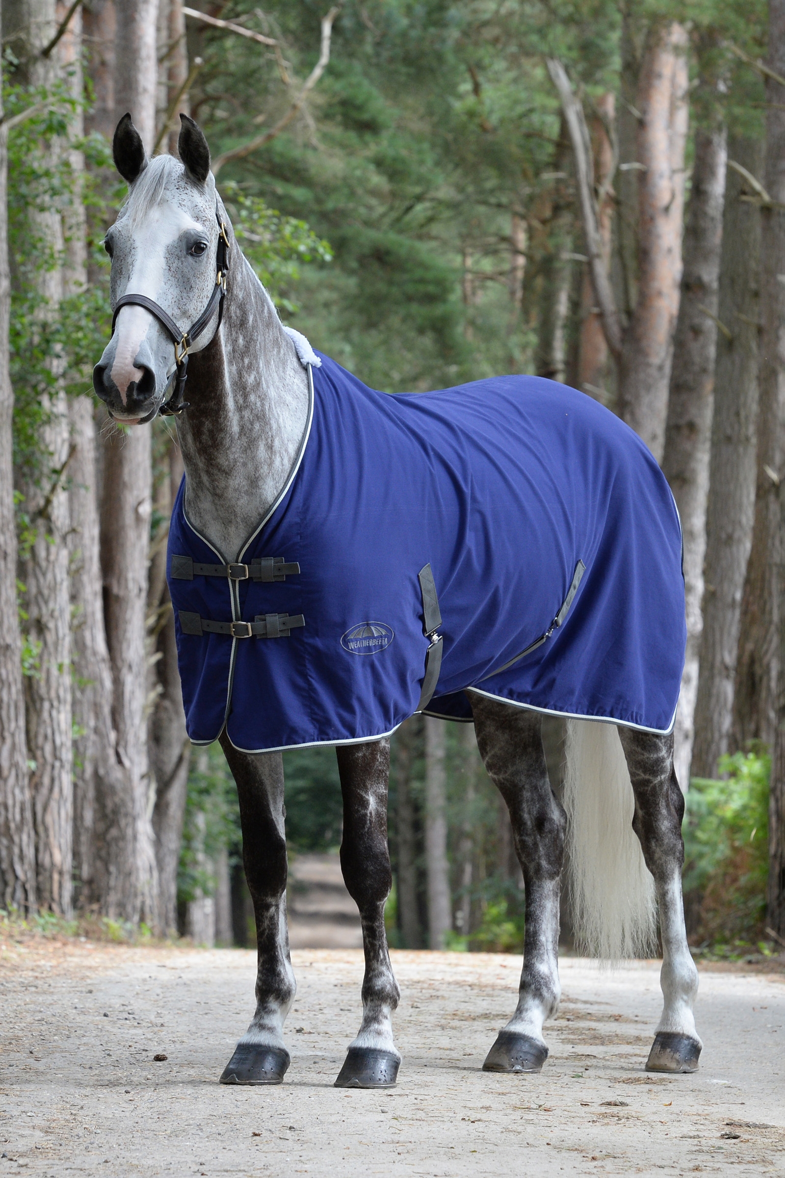 Weatherbeeta Coperta da spettacolo in cotone