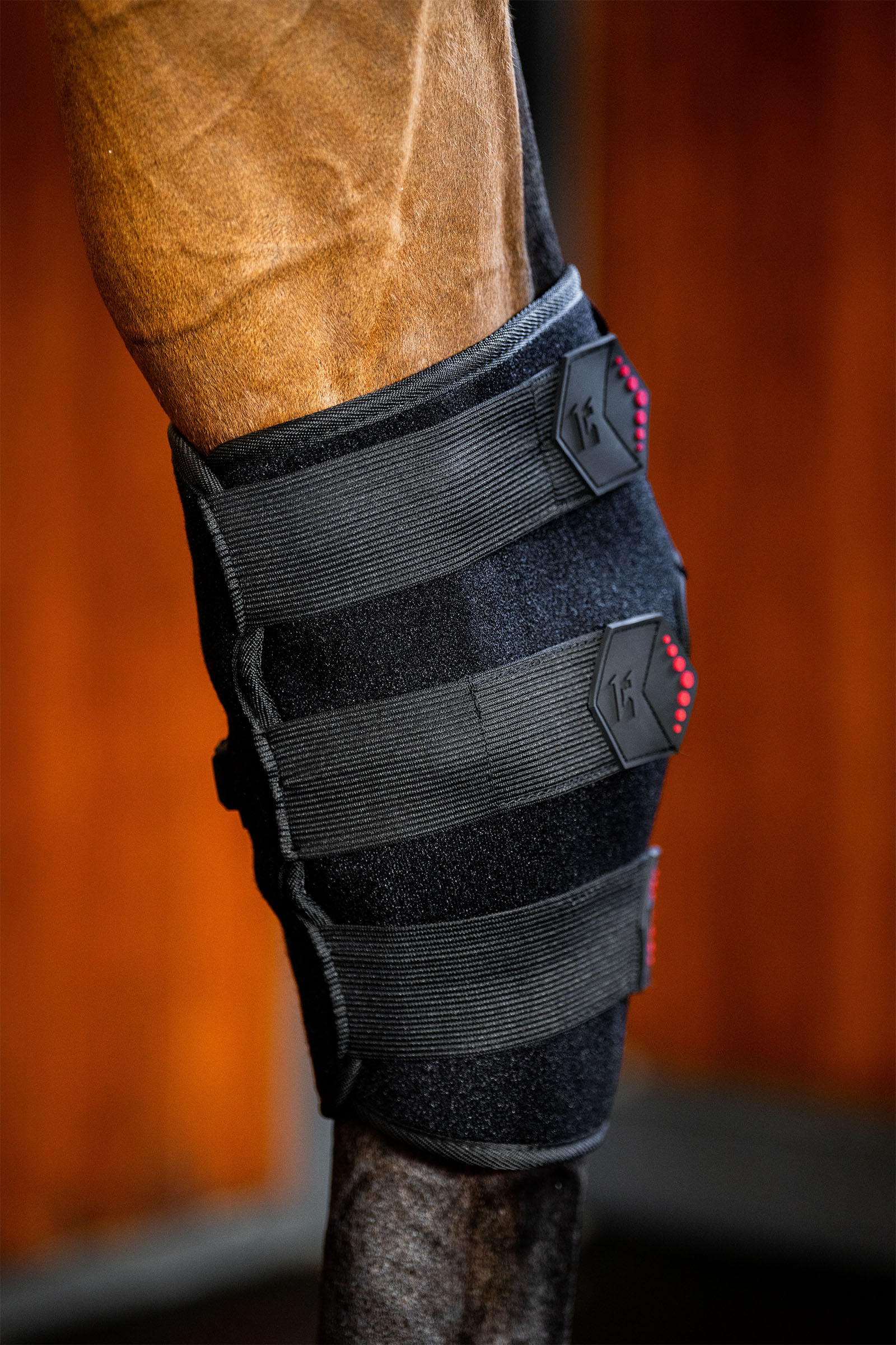 Horseware paragarretti terapeutico a LED con luce rossa (1 pz.)