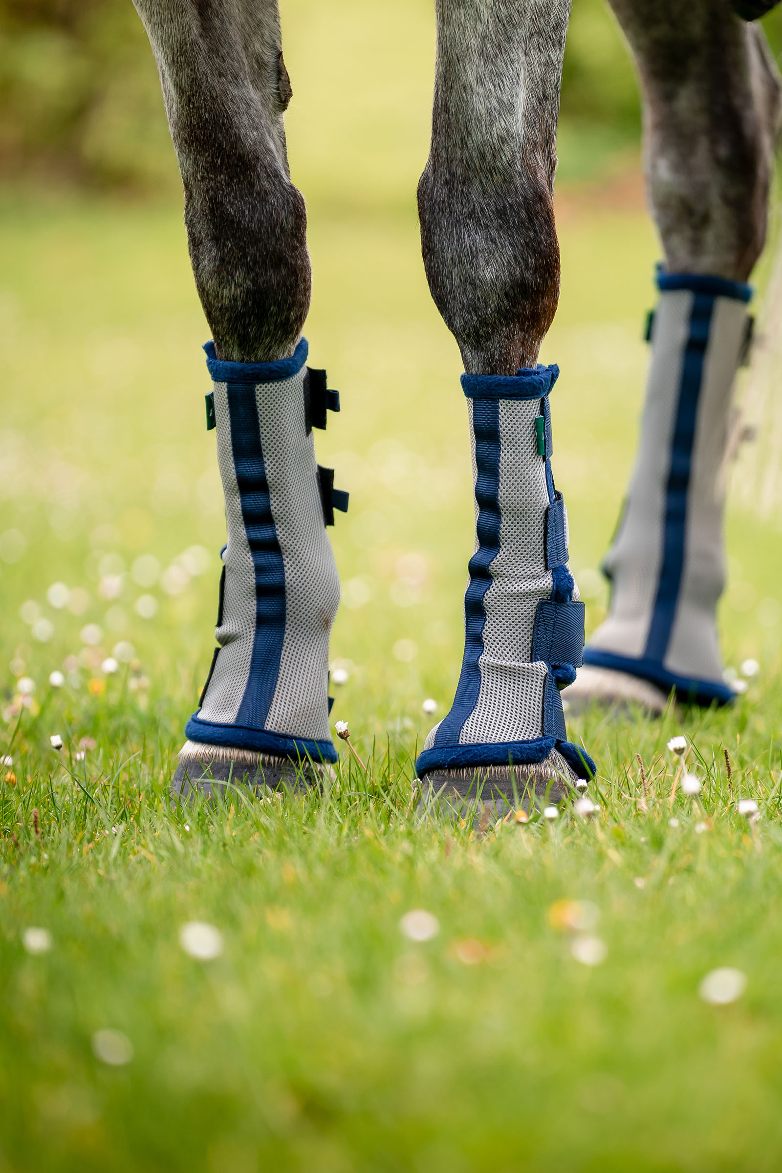 Horseware Fly Boots - set di 2