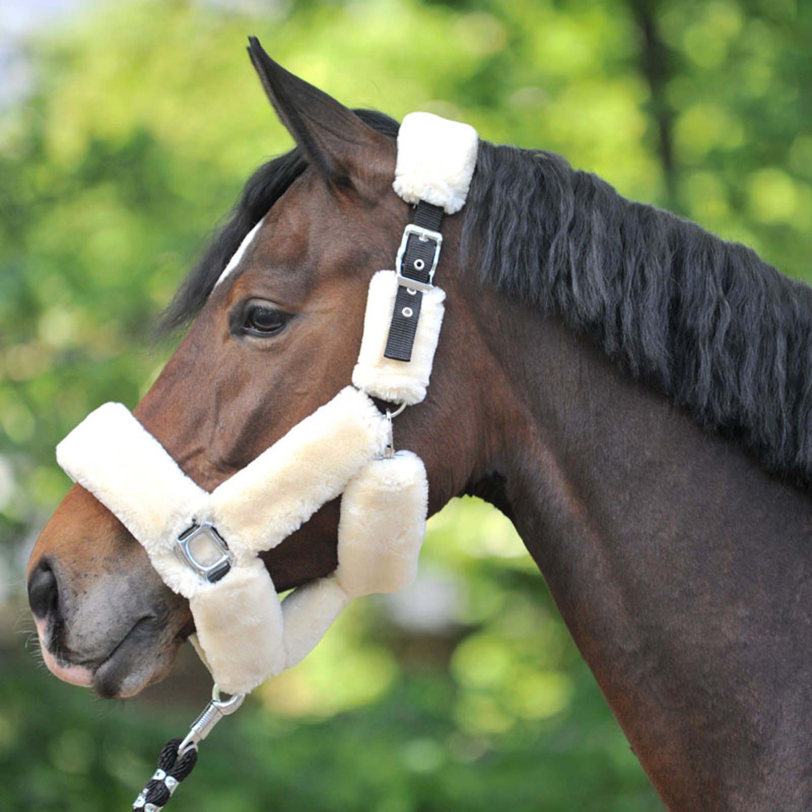 Kavalkade Transport Headcollar con finta pelliccia