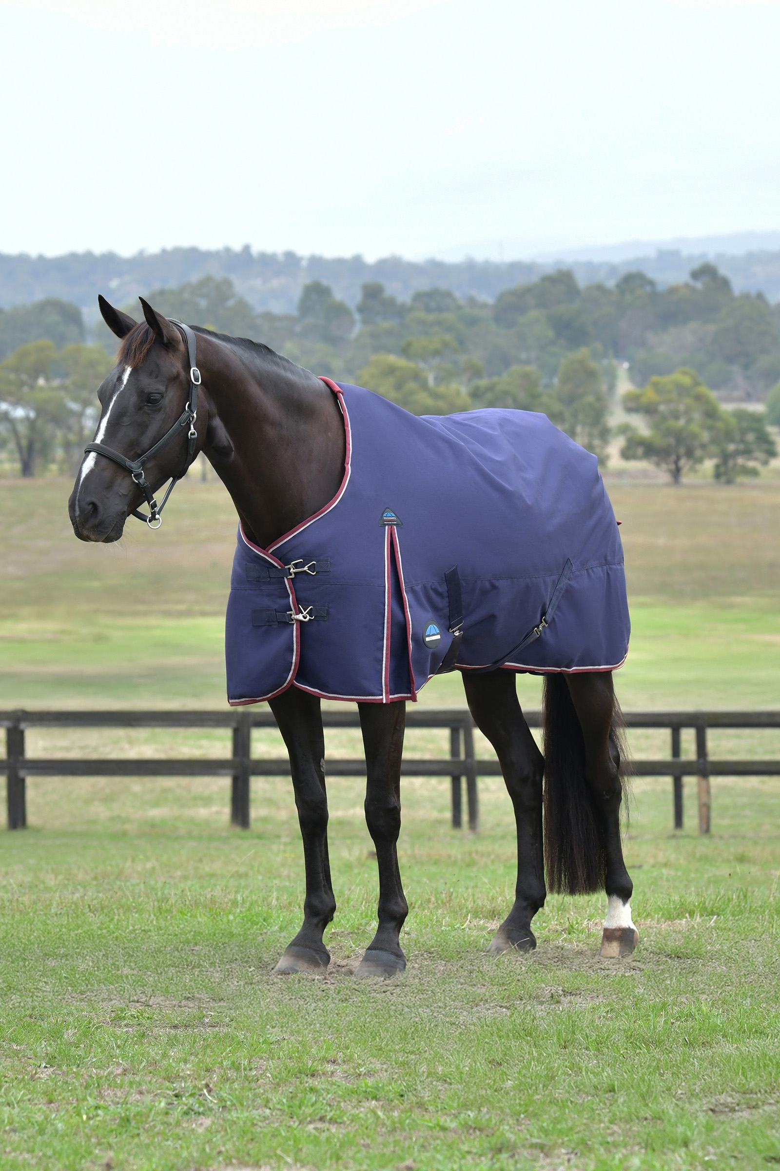 Weatherbeeta ComFiTec Essential Turnout Standard Neck 50G