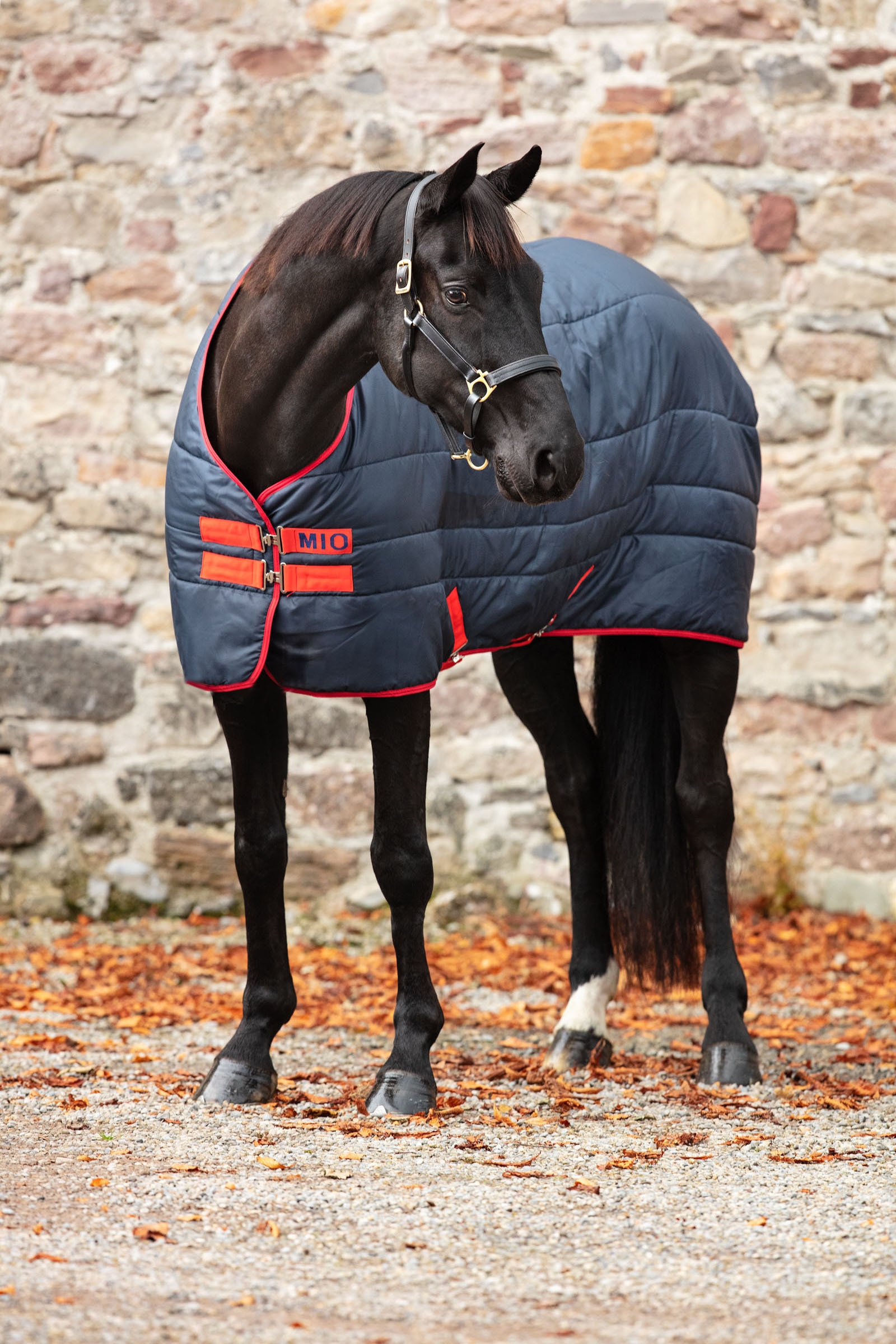 Horseware Mio Insulator coperta da stalla, 150g