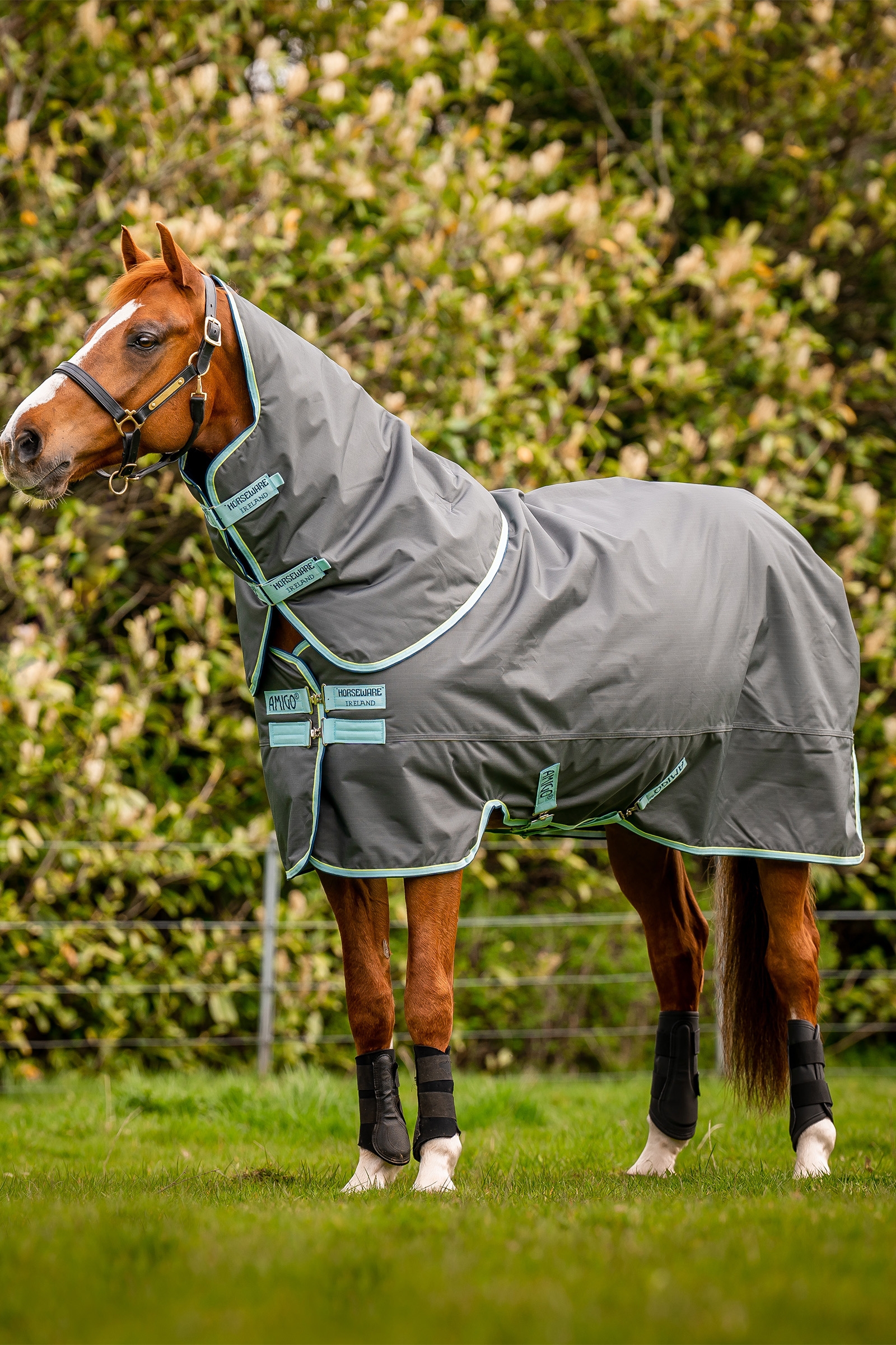 Horseware Amigo Hero Ripstop Plus coperta da turnout con collo staccabile, 200g