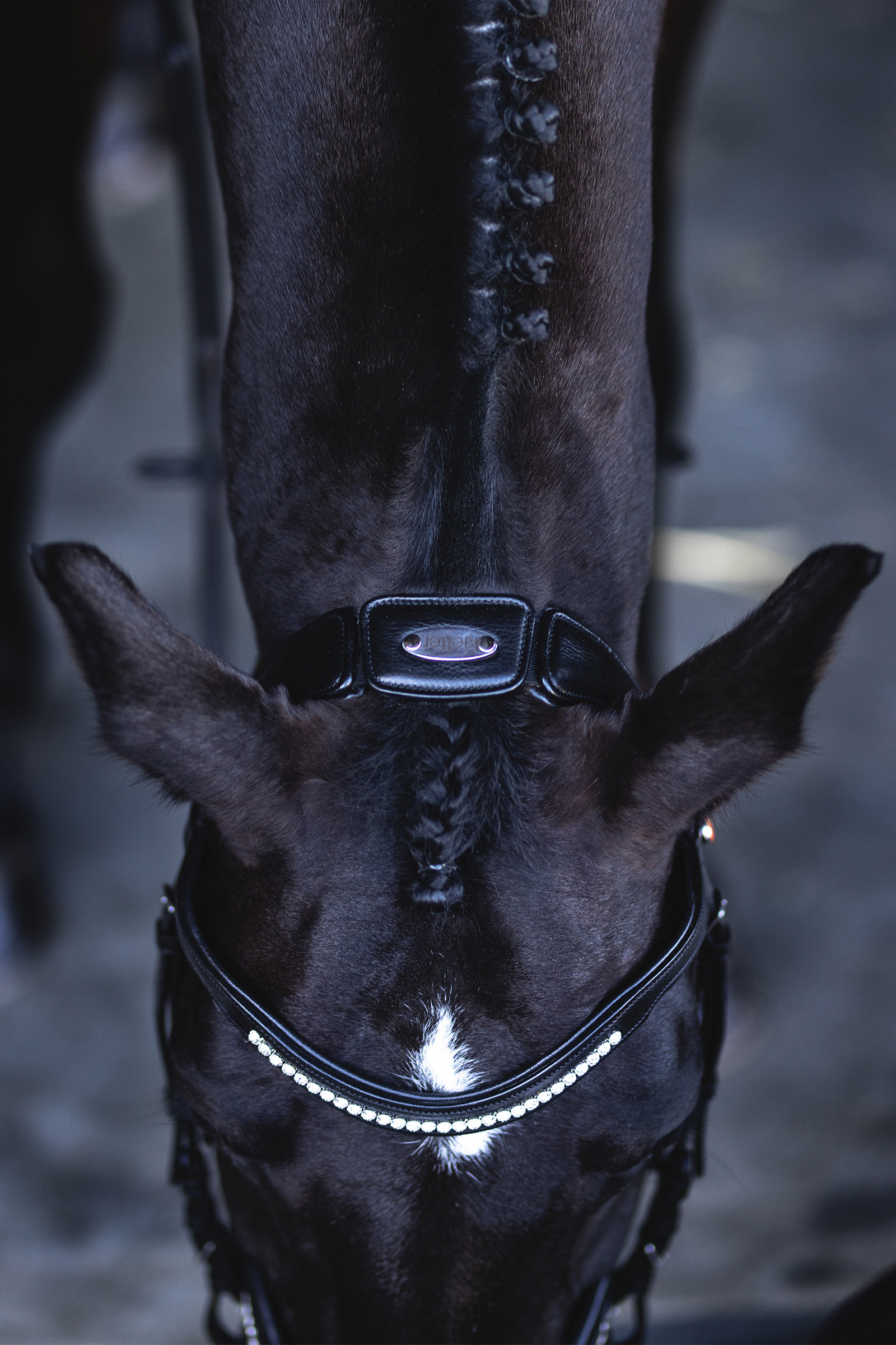 Kieffer Ultrasoft® Luna Briglia Snaffle