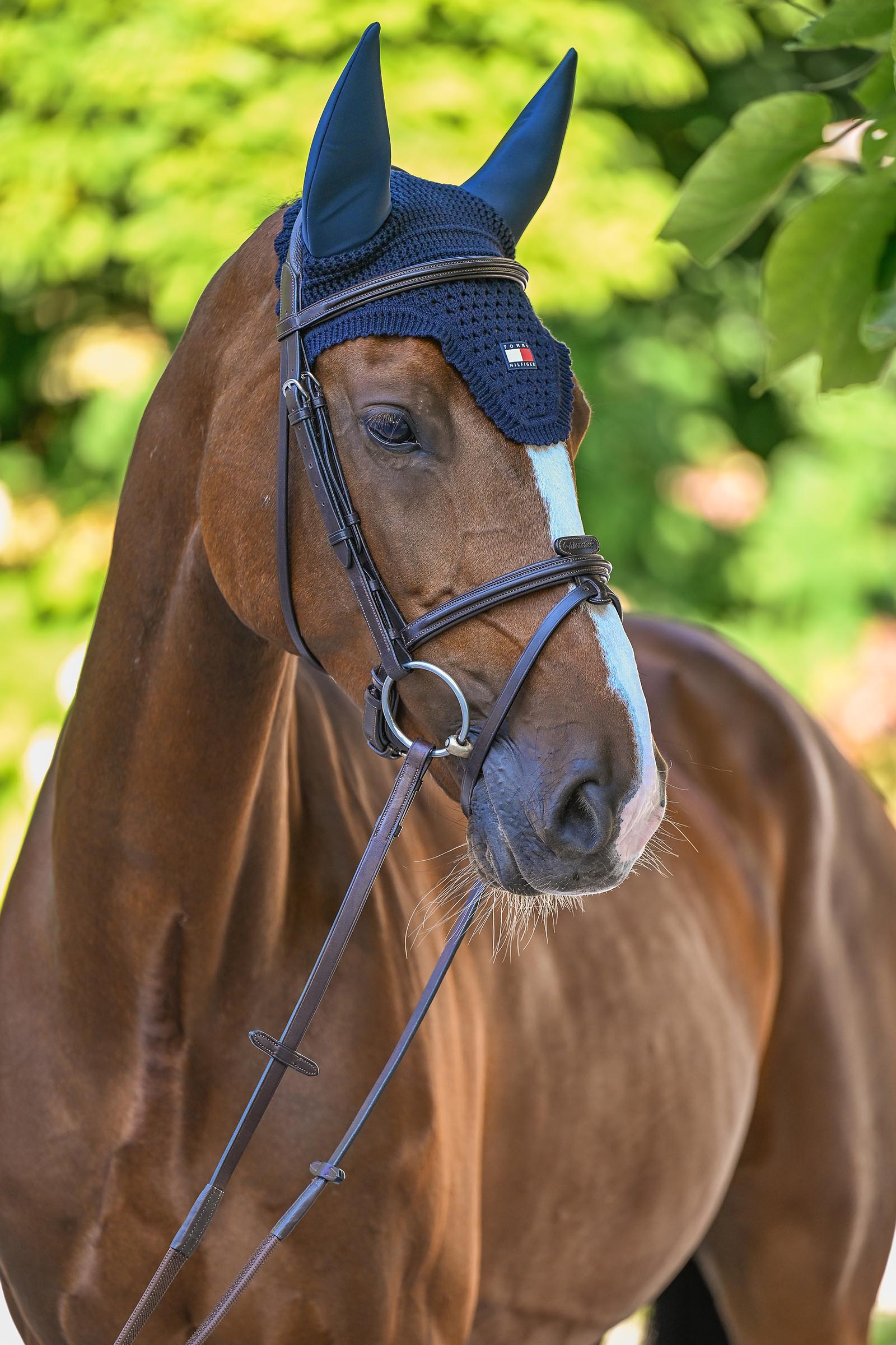 Tommy Hilfiger Equestrian Lexington Soundless Fly Hood