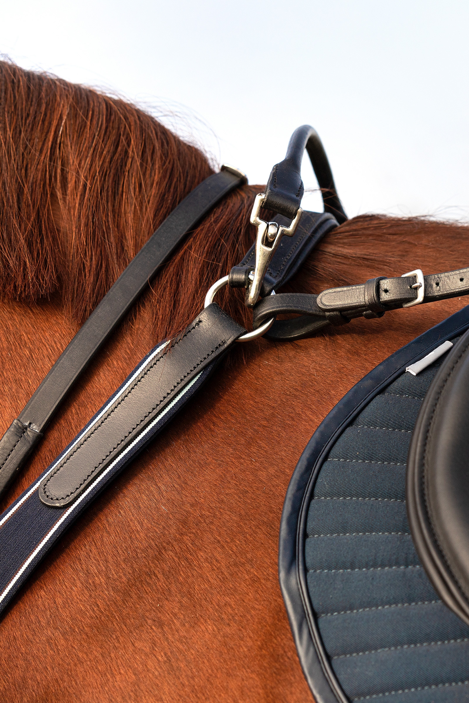Horseware Rambo Micklem Breastplate