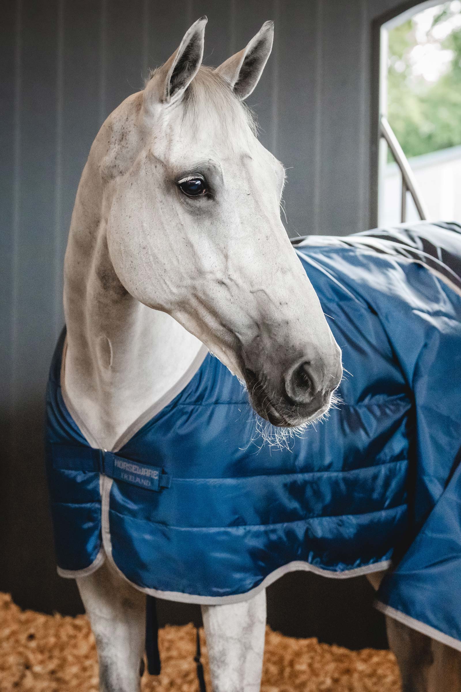 Horseware Ionic Therapy Fodera 50g