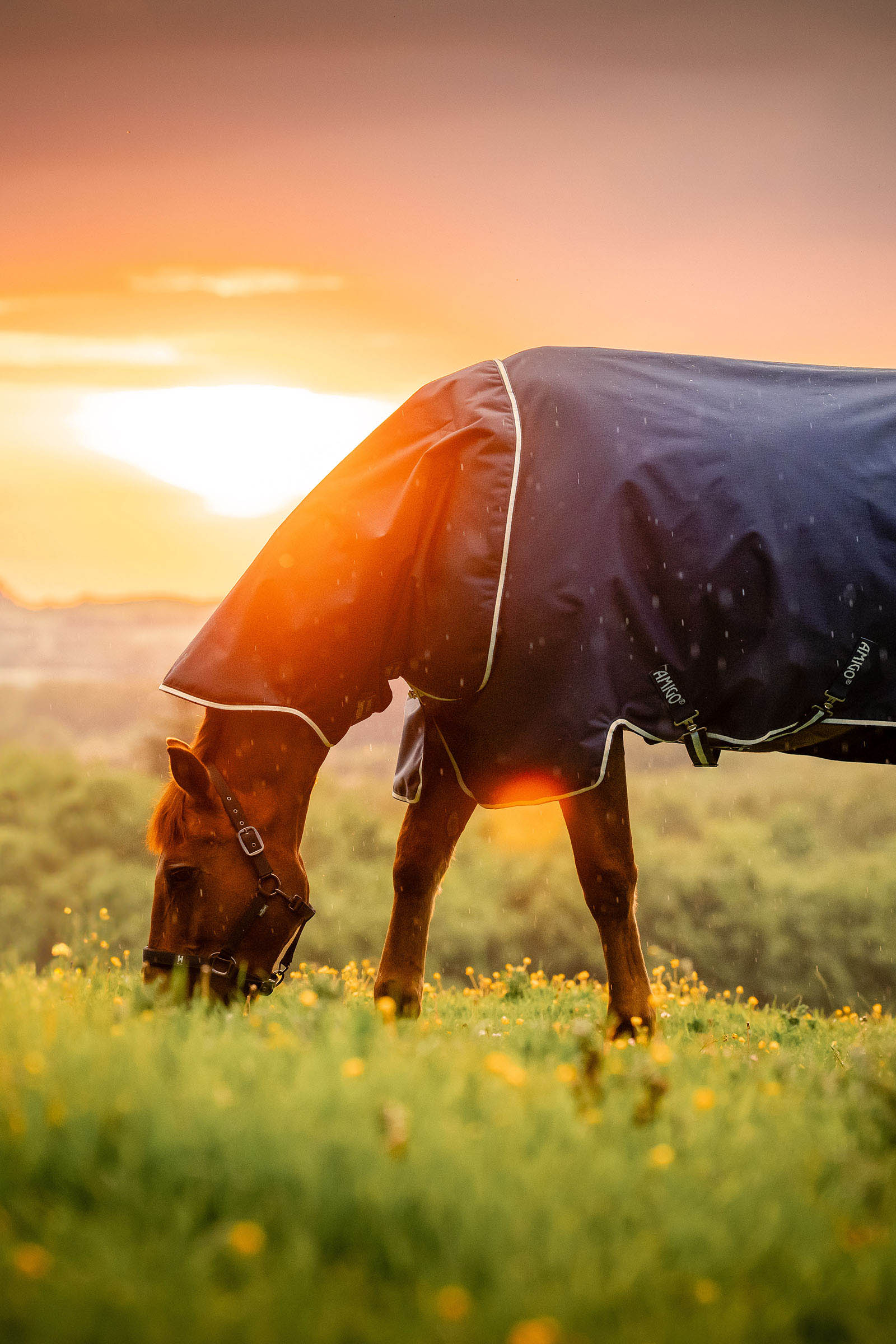 Witney Navy Horseware Amigo Ripstop 900D Plus coperta da esterno, 200 g