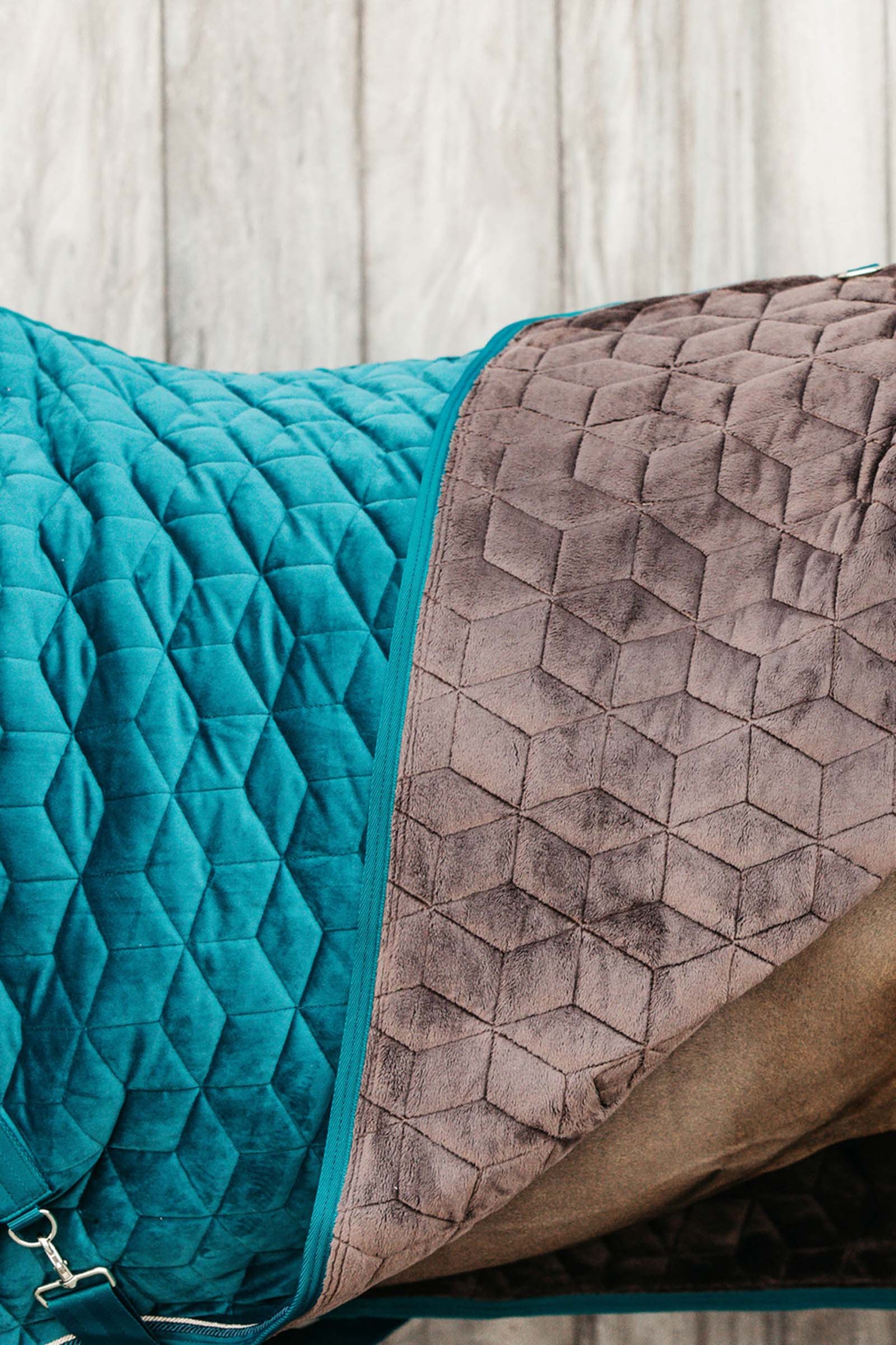 Kentucky Horsewear Velvet Coperta da concorso per pony, 160 gr