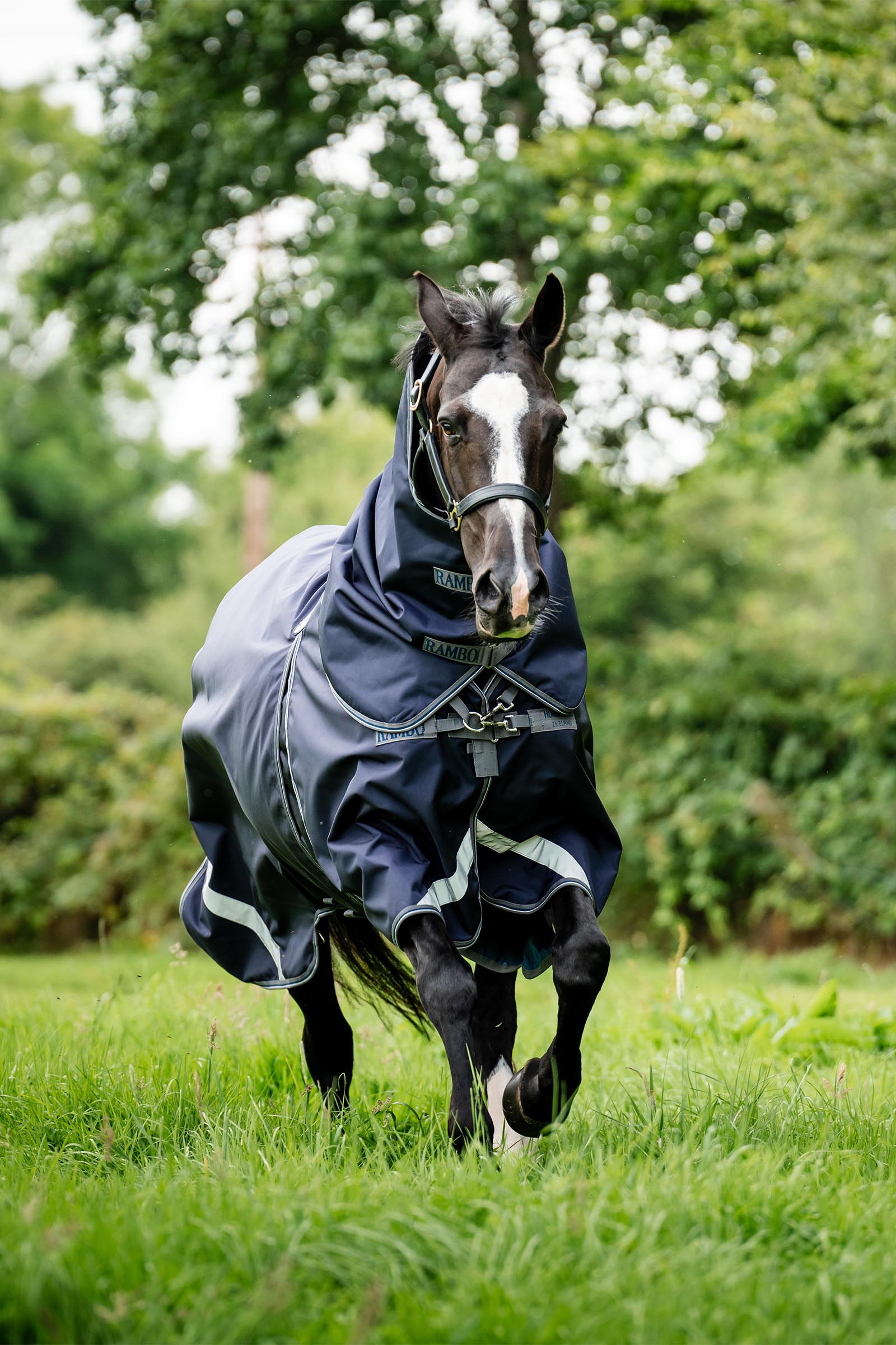 Horseware Rambo Optimo Plus Budle Coperta da Pascolo (con 200g Liner)