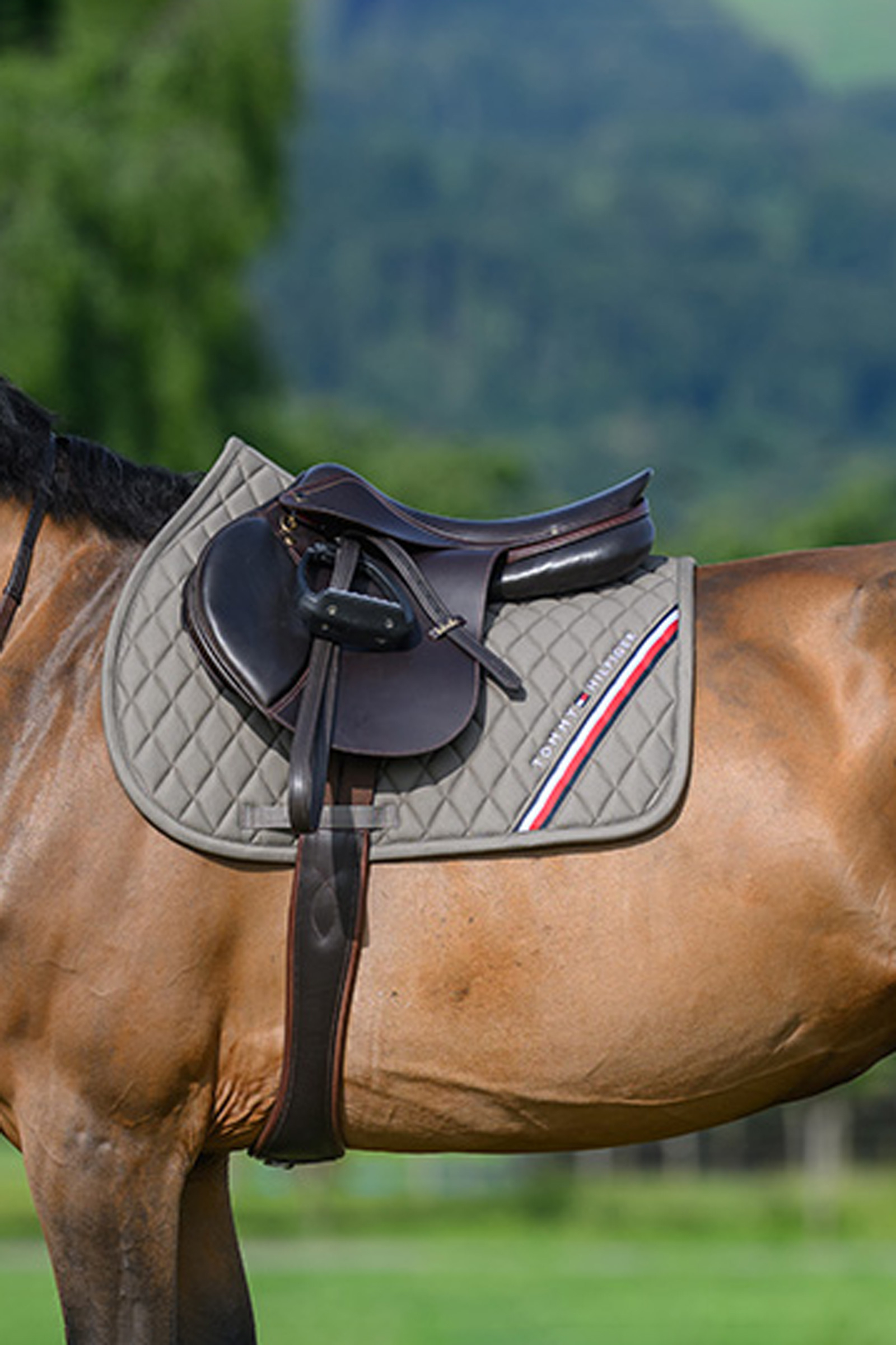 Ash Tommy Hilfiger Equestrian Stanford sottosella da salto