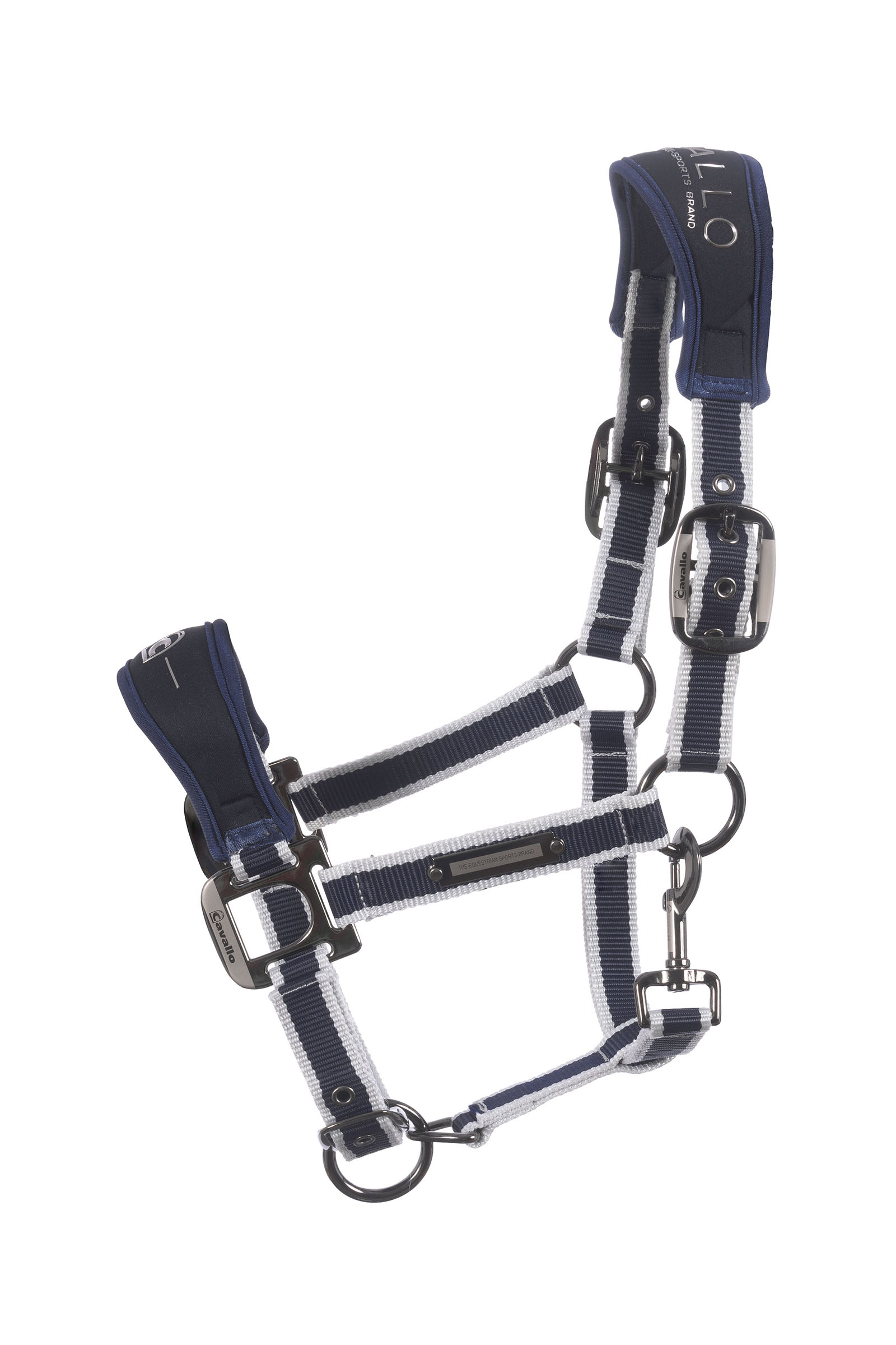 darkblue Cavallo CavalSoft Softshell cavezza