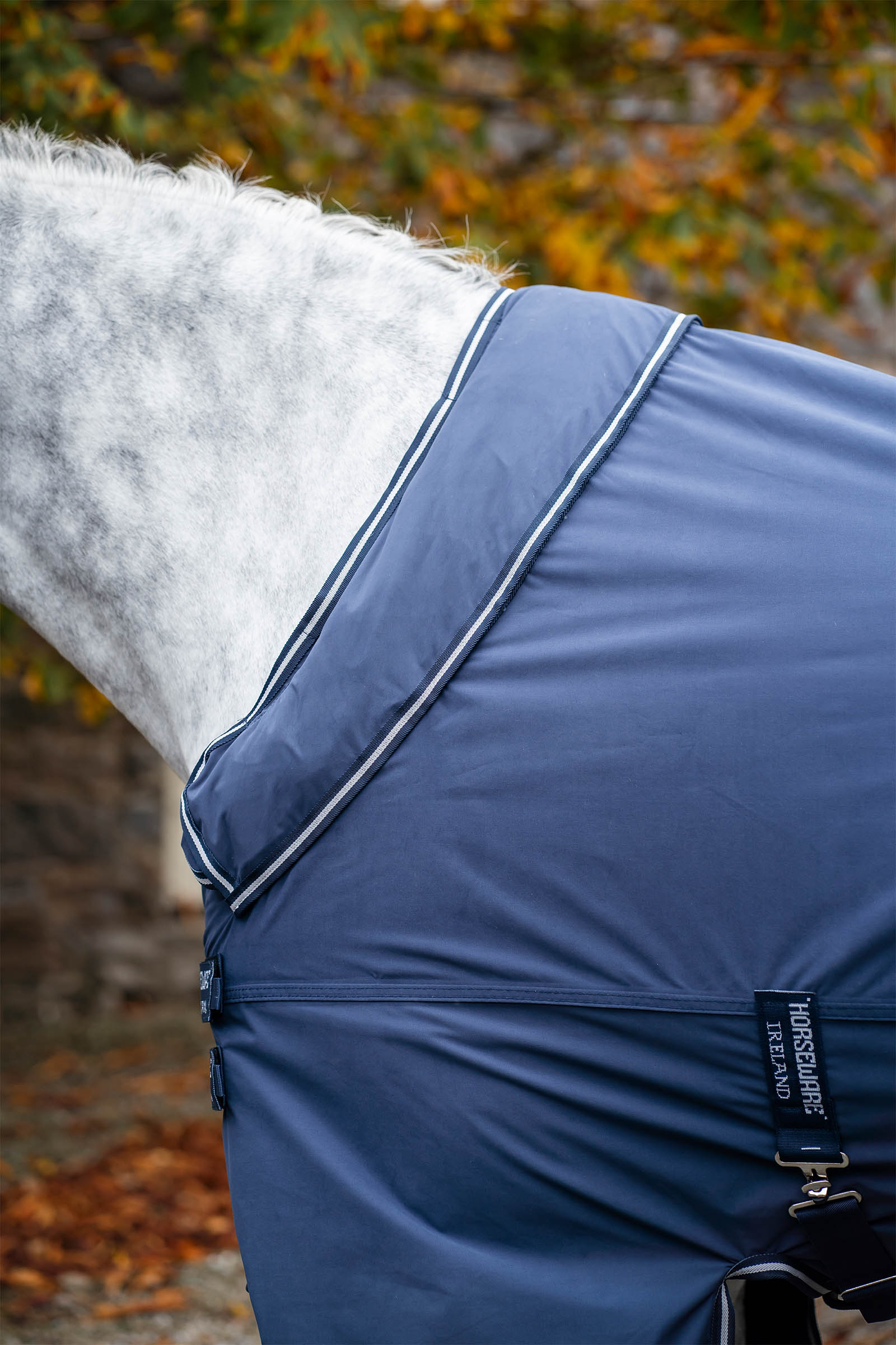 Horseware Show Ready coperta